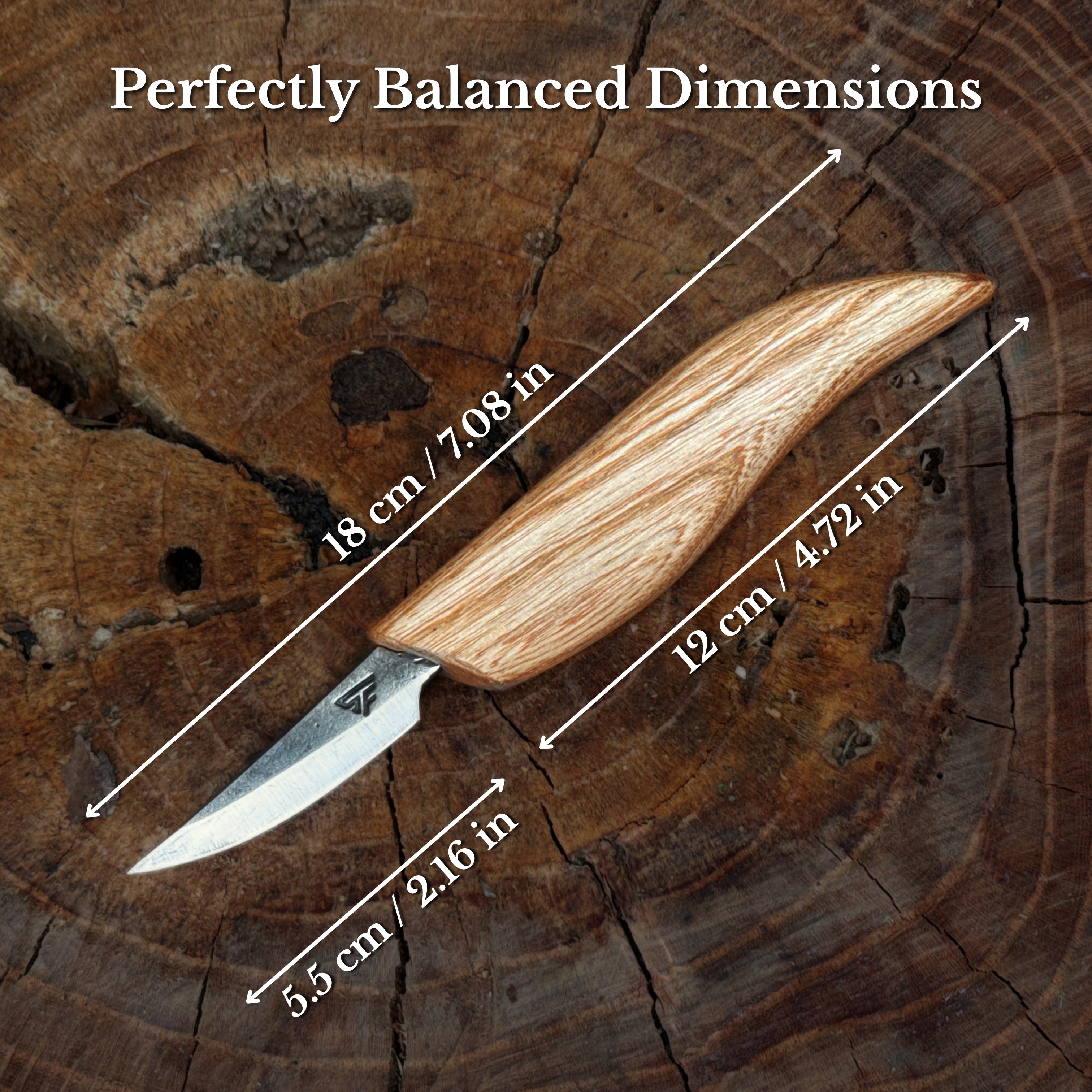 Whittling Sloyd Knife with Leather Sheath, 5.5 cm (2.16 inches)