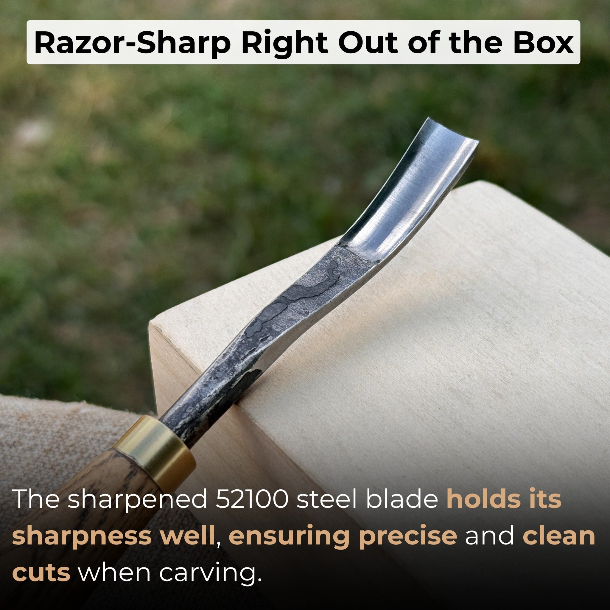 Curved Detail Carving Gouge – 8 mm / 12 mm (0.31 / 0.47 inches) - 2