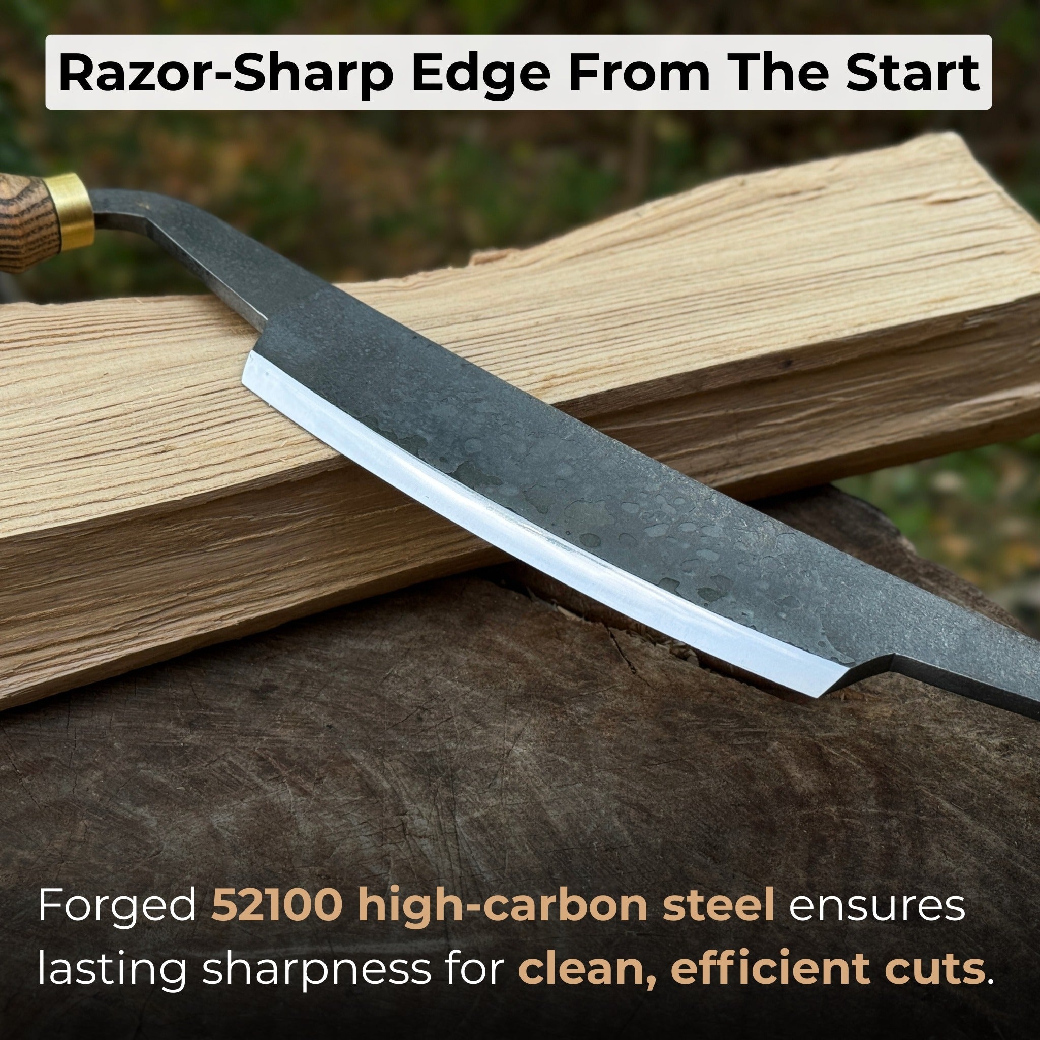 Curved Draw Knife (Push/Pull Shave), 14.5 cm (5.7 inch) Cutting Edge - 2