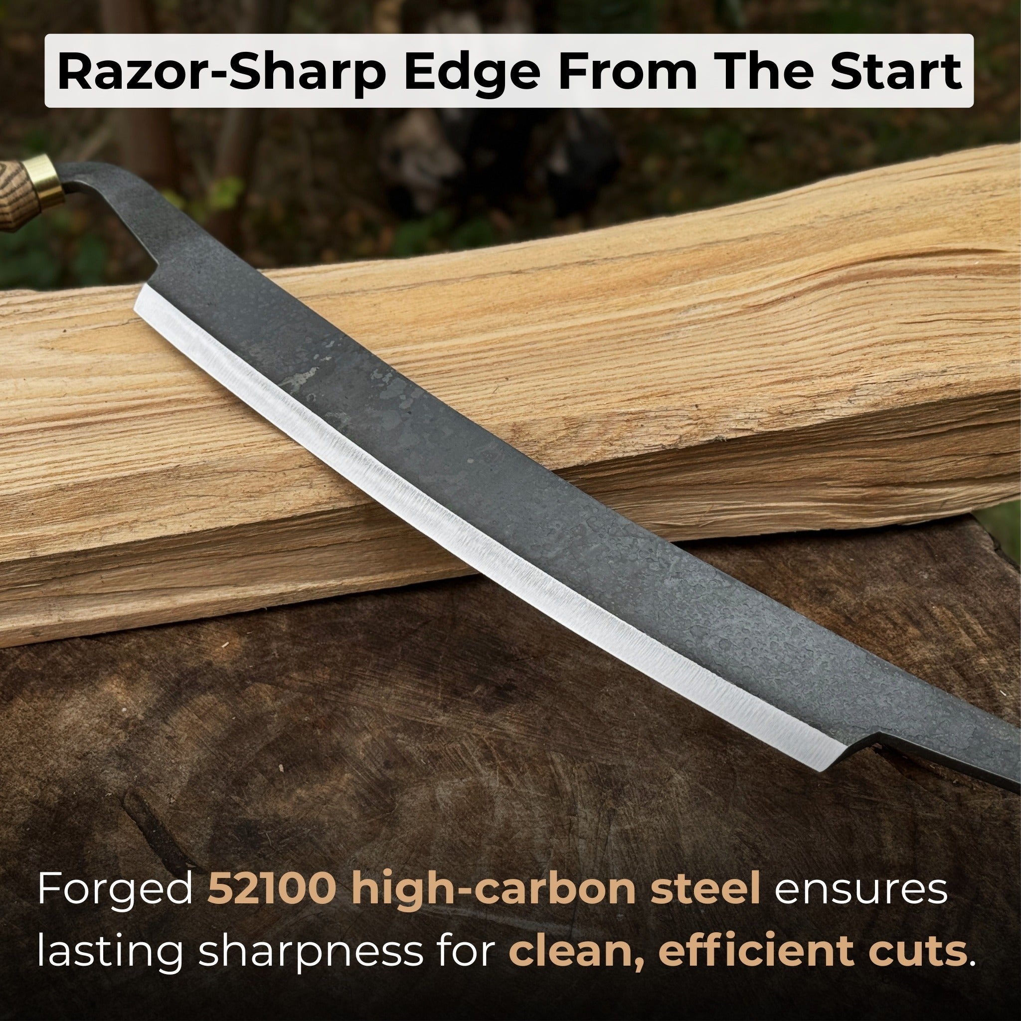 Curved Draw Knife (Push/Pull Shave), 25.5 cm (10 inch) Cutting Edge - 2