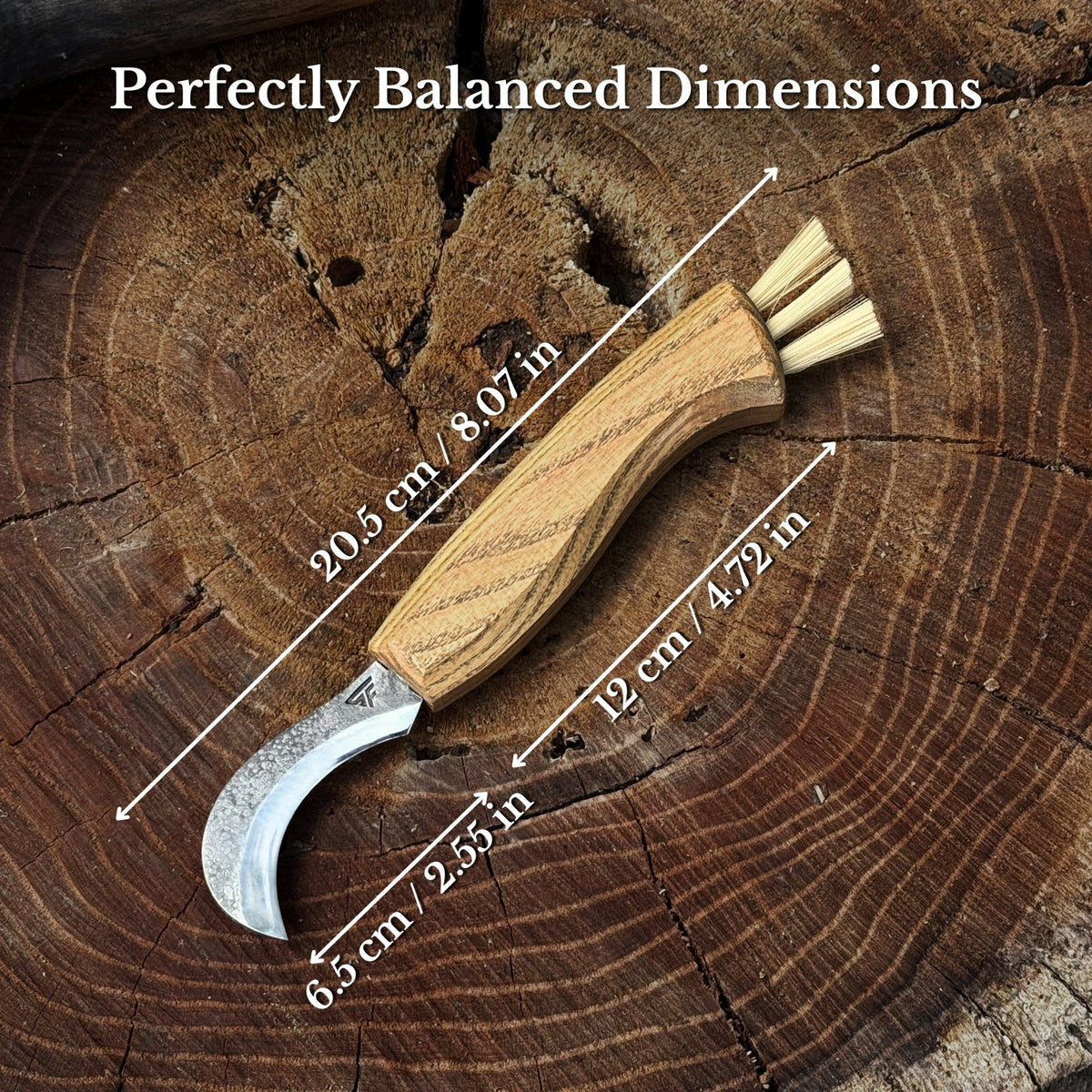 Forged Mushroom Knife with Brush, 6.5 cm (2.56 inches) - 3