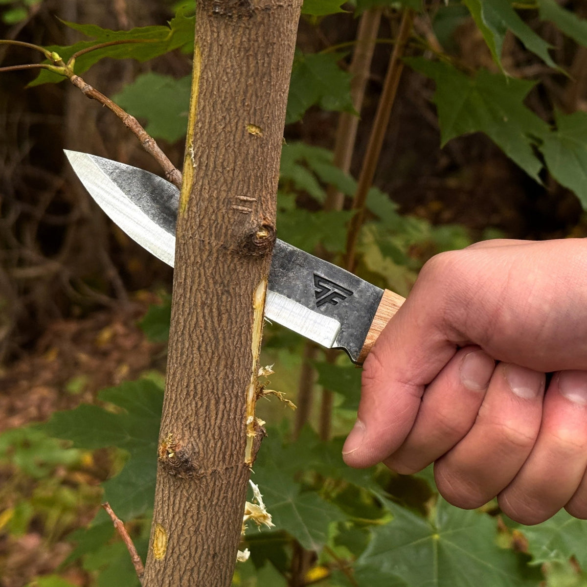 Hand-Forged Bushcraft Knife, 10 cm (3.9 in) Blade with Leather Sheath - 4