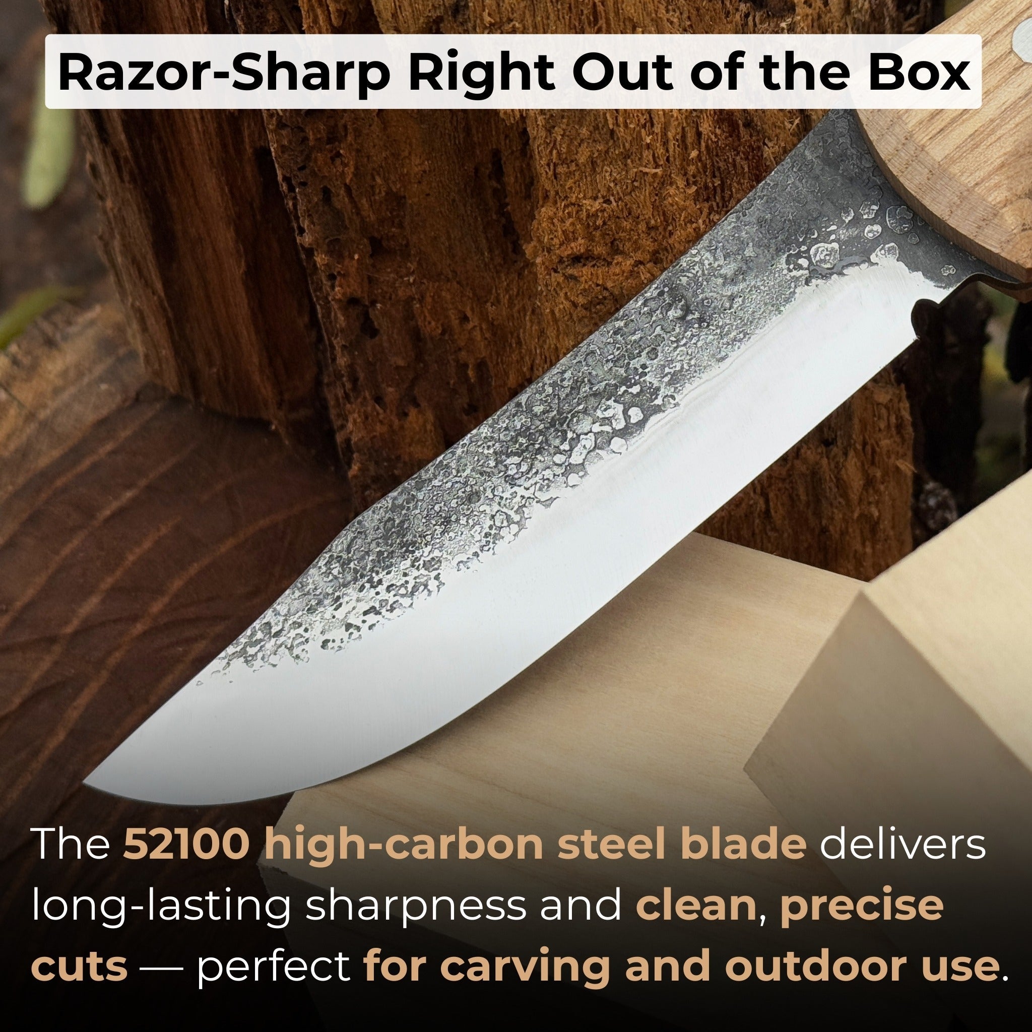 Hand - Forged Bushcraft Knife, 12 cm (4.72 inches) - 2