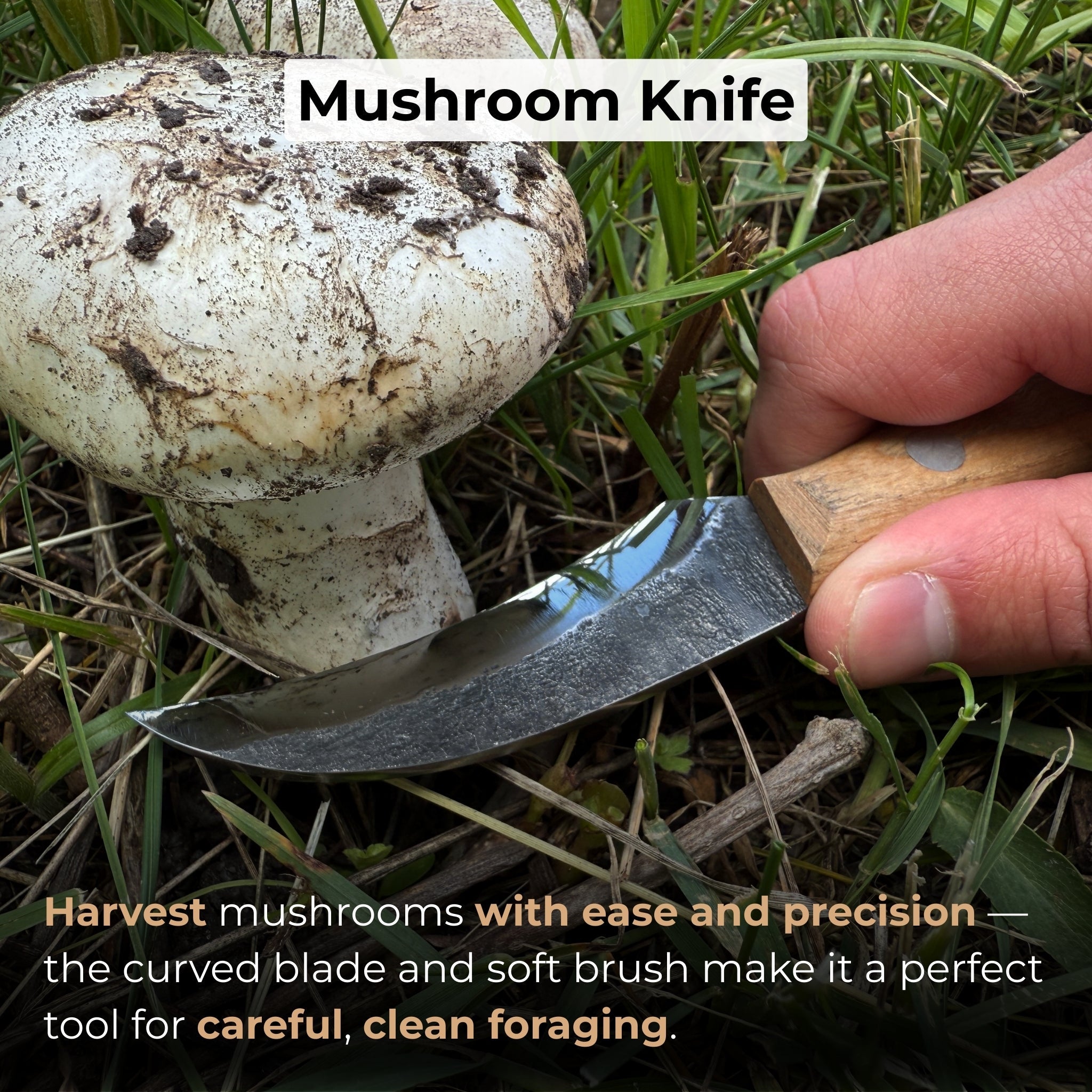 Hand - Forged Knife for Mushroom Foraging, 8 cm (3.15 inches) - 7