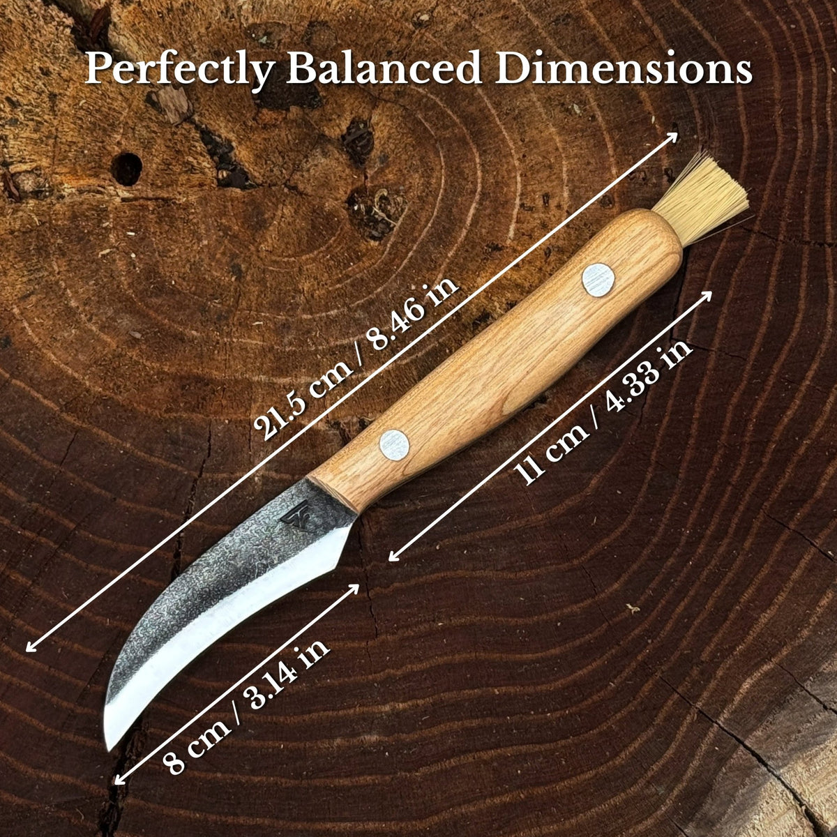 Hand-Forged Knife for Mushroom Foraging, 8 cm (3.15 inches) - 3