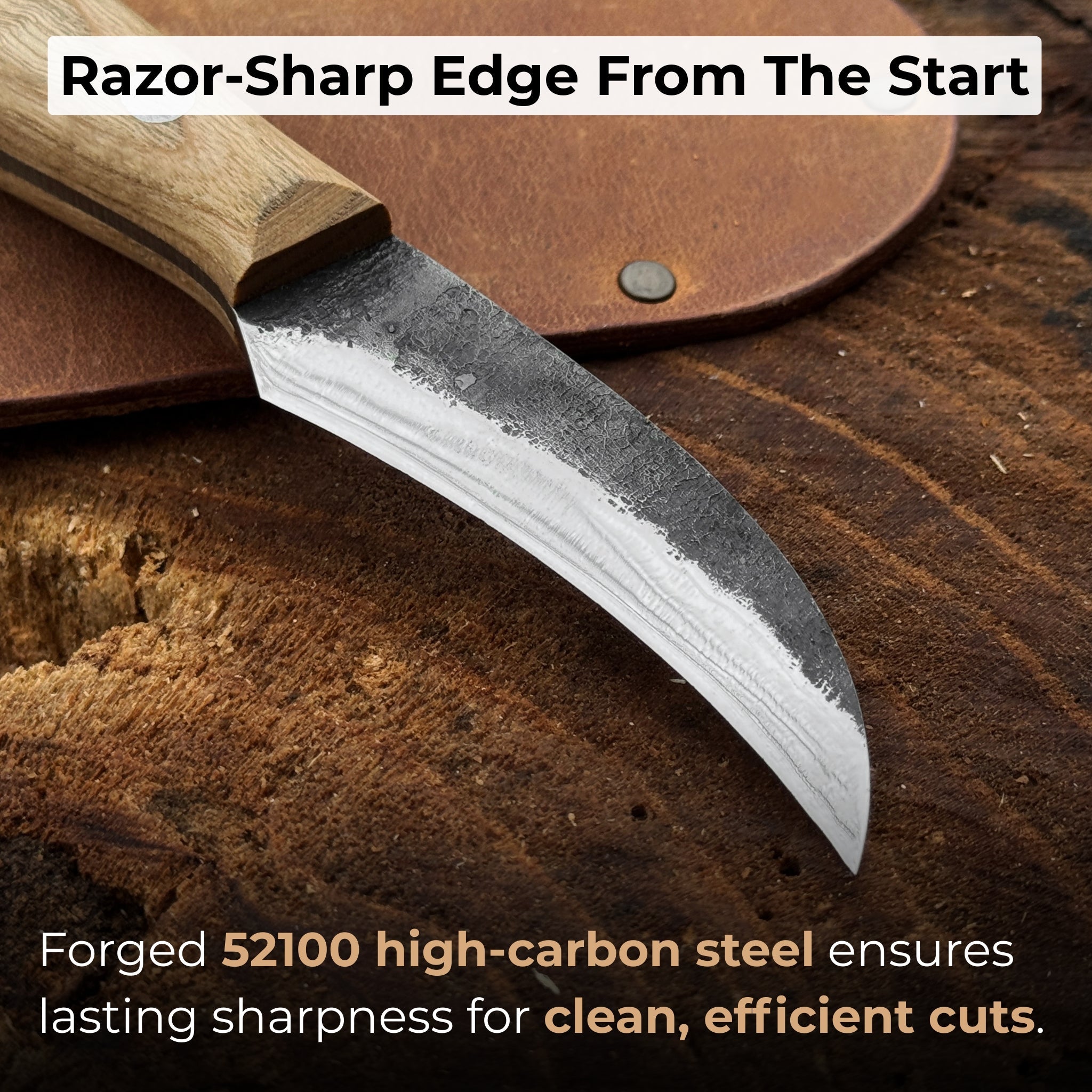 Hand - Forged Knife for Mushroom Foraging, 8 cm (3.15 inches) - 2