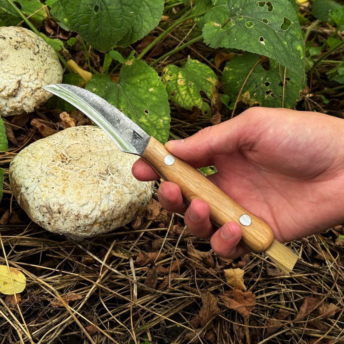 Hand-Forged Knife for Mushroom Foraging, 8 cm (3.15 inches) - 4
