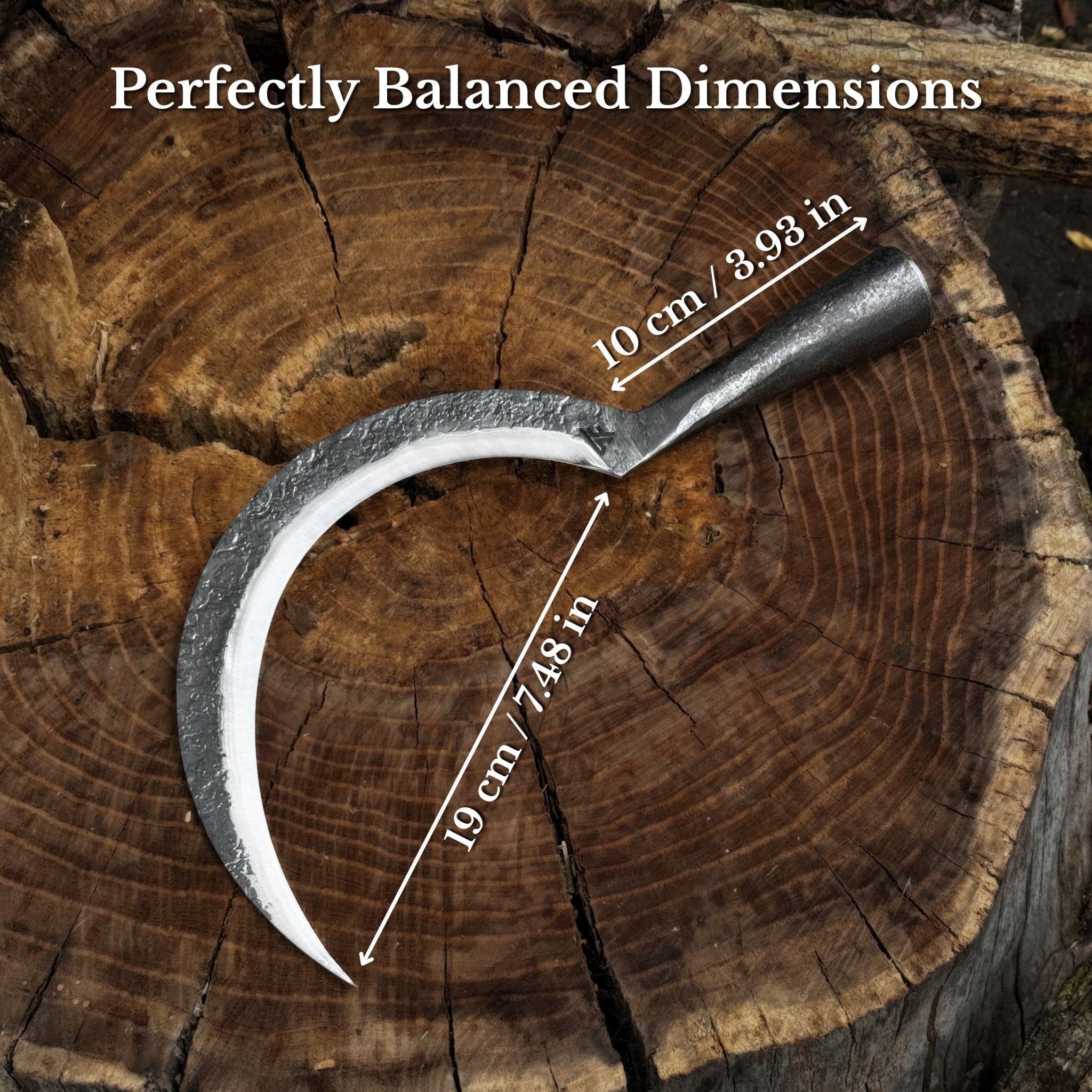 Hand-Forged Large Sickle, ⌀19 cm (7.5 inches) - 2