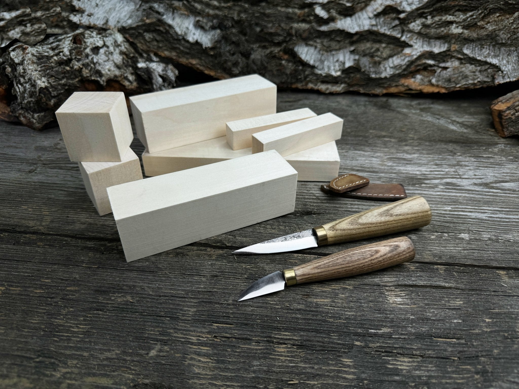 Hand - Forged Wood Carving Tool Set with Wooden Blanks WS8 - 4