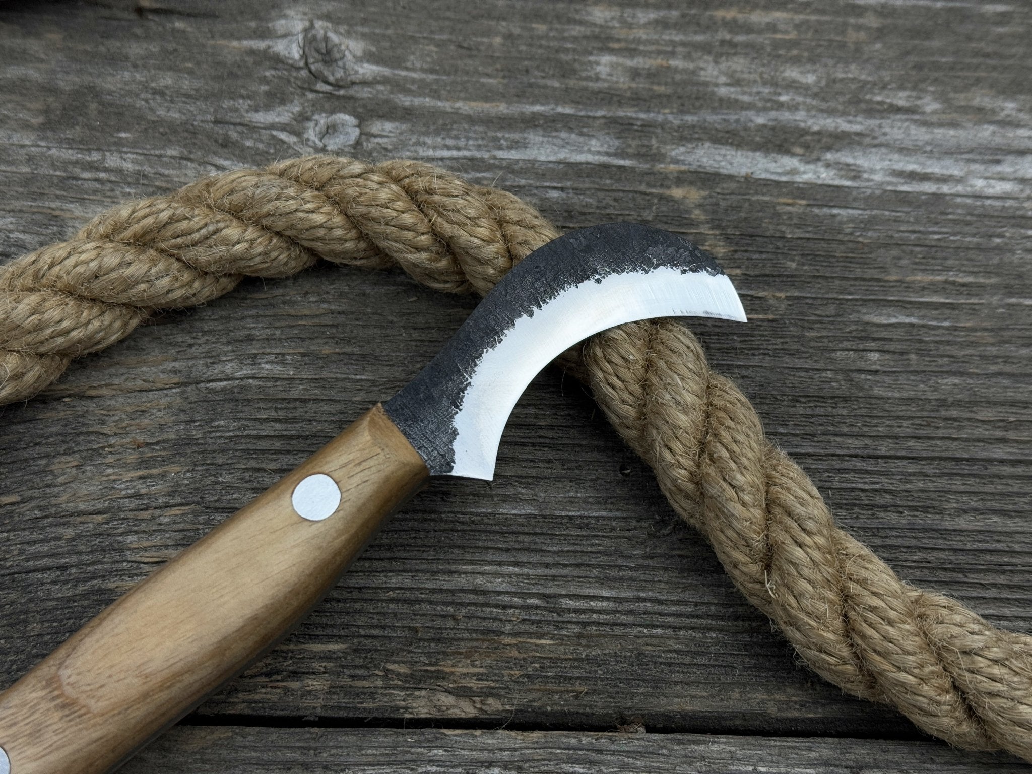 Mushroom Knife for Forest Walks, 6 cm (2.36 inches) - 4