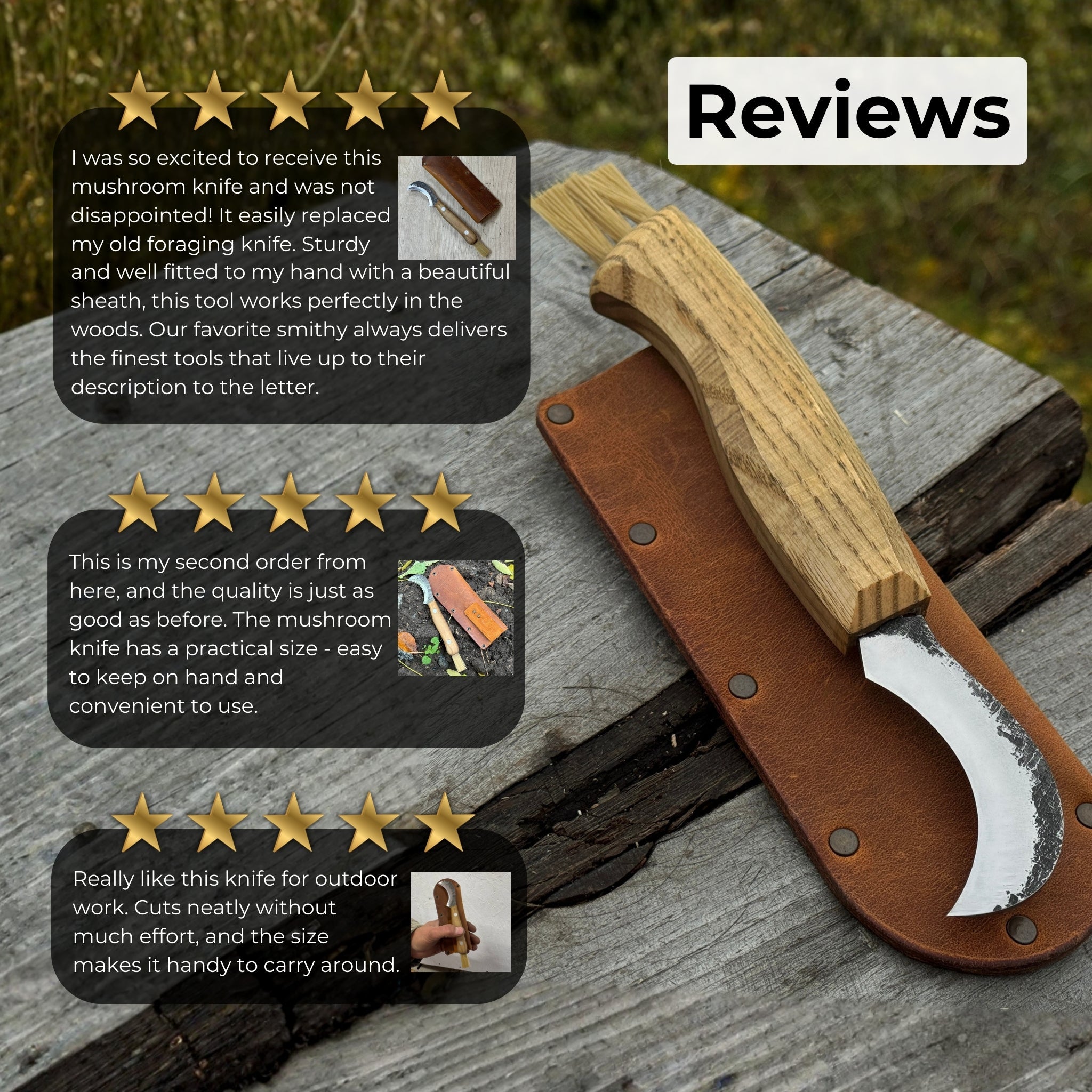 Mushroom Knife for Forest Walks, 6 cm (2.36 inches) - 9