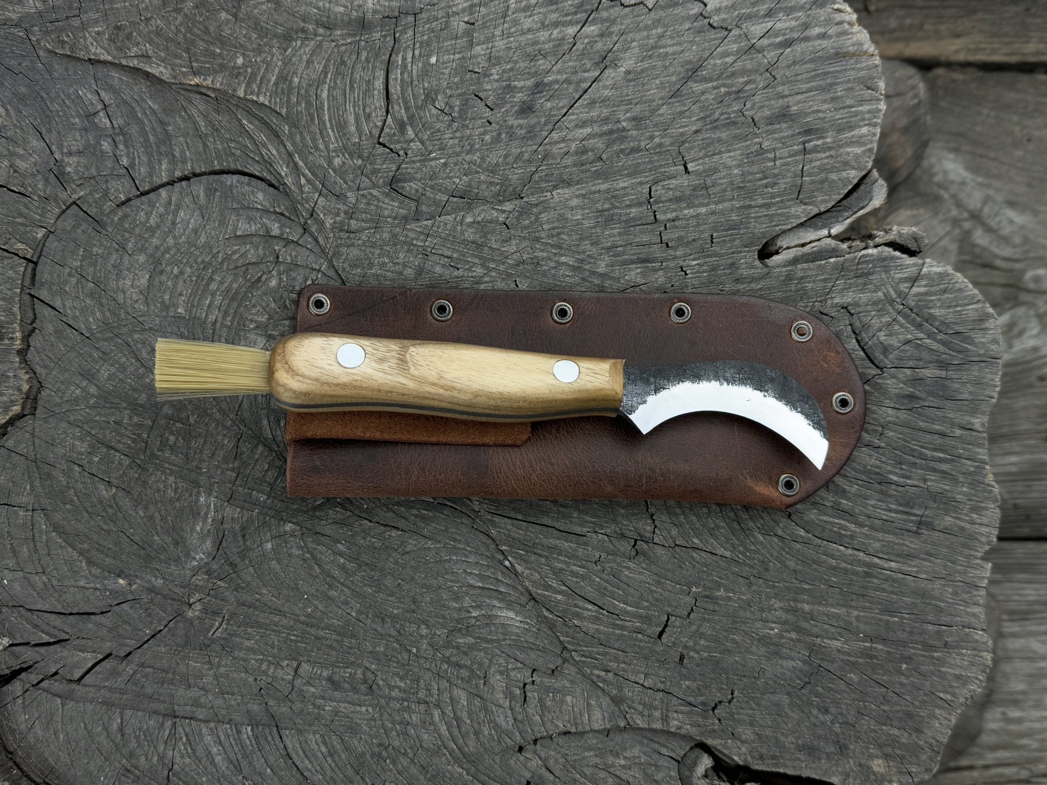 Mushroom Knife for Forest Walks, 6 cm (2.36 inches) - 1