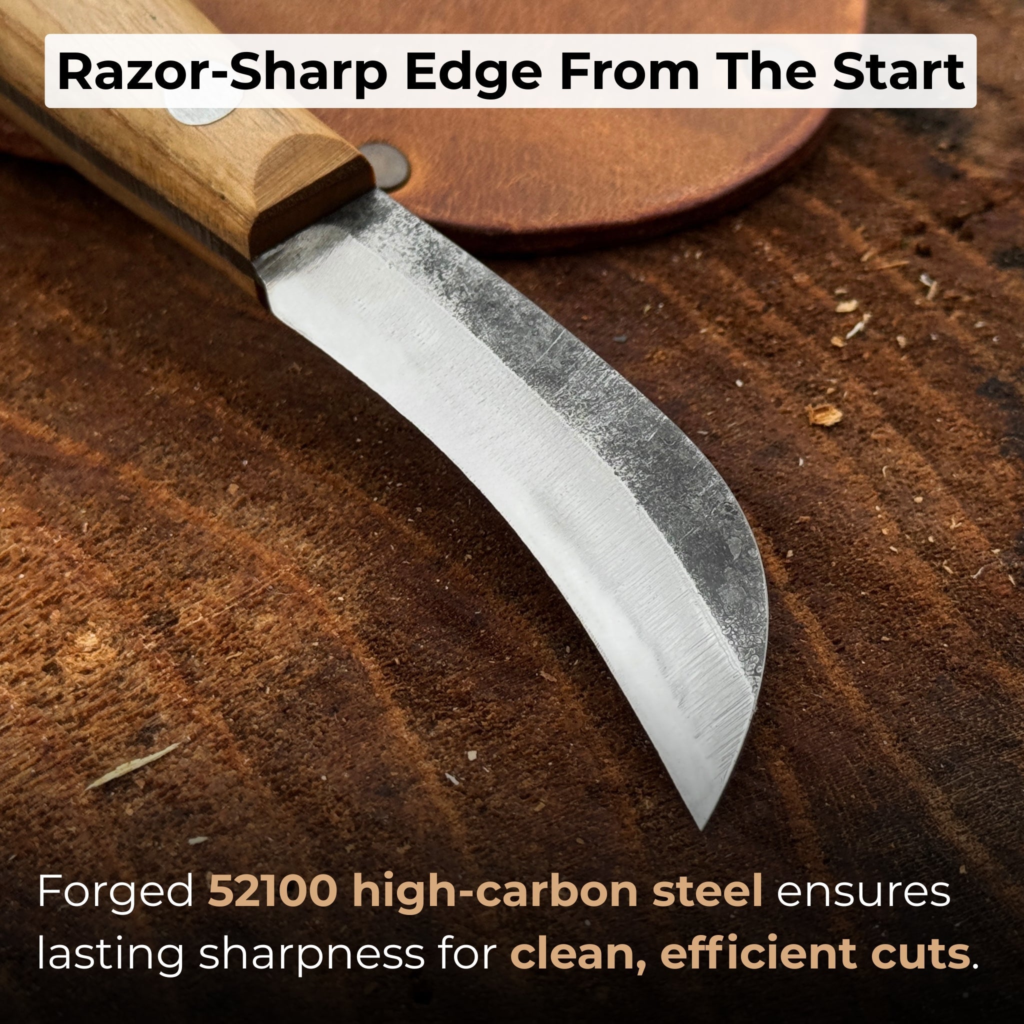 Mushroom Knife for Forest Walks, 6.5 cm (2.56 inches) - 2