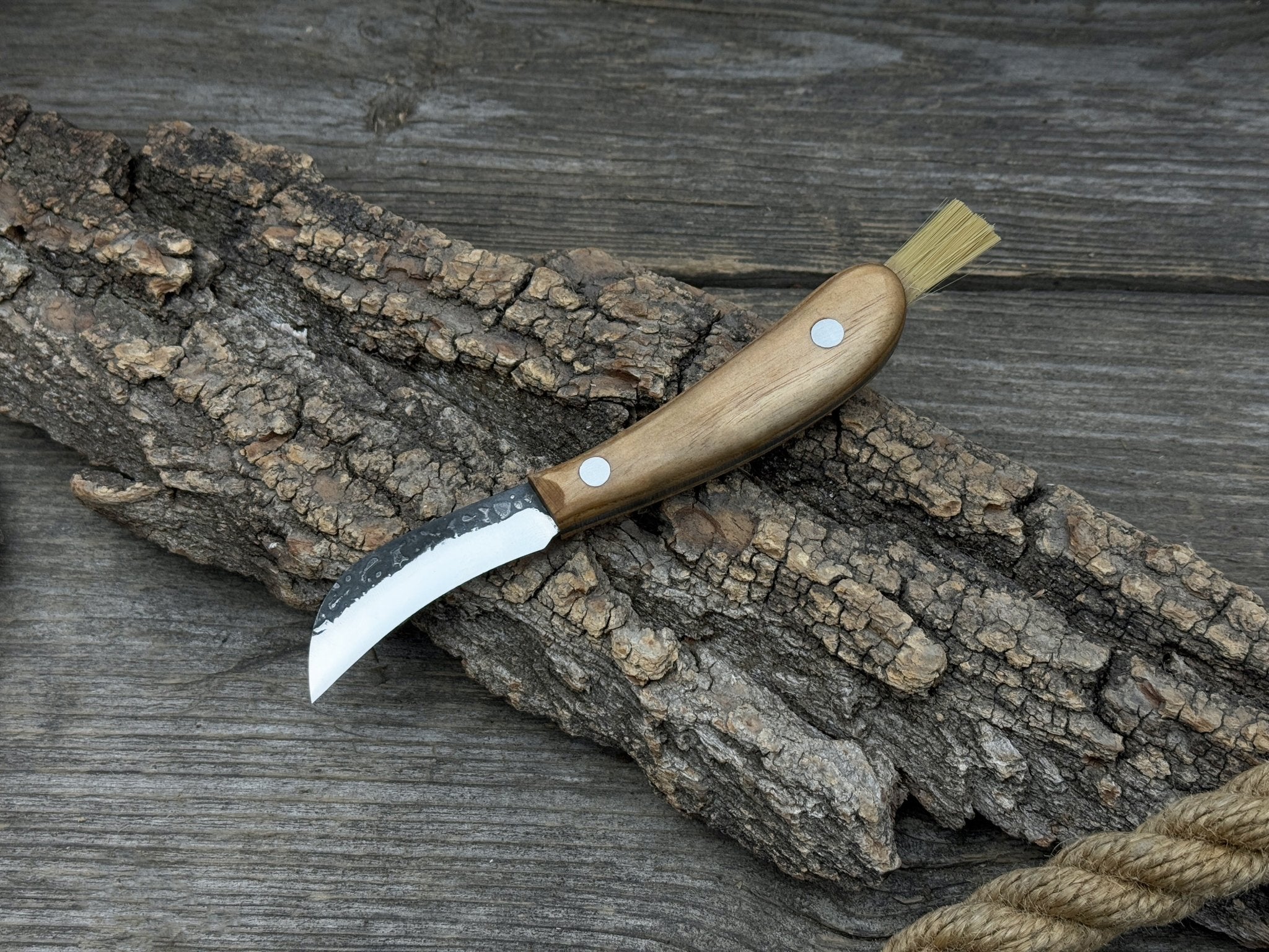 Mushroom Knife for Forest Walks, 6.5 cm (2.56 inches) - 6