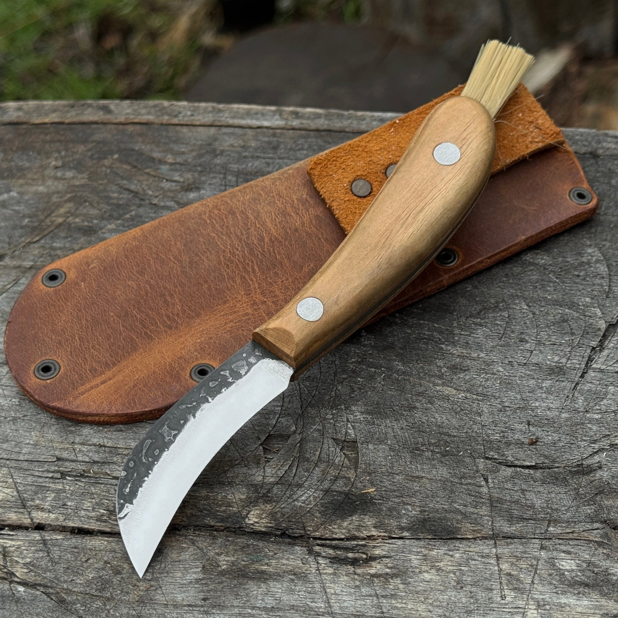 Mushroom Knife for Forest Walks, 6.5 cm (2.56 inches) - 1