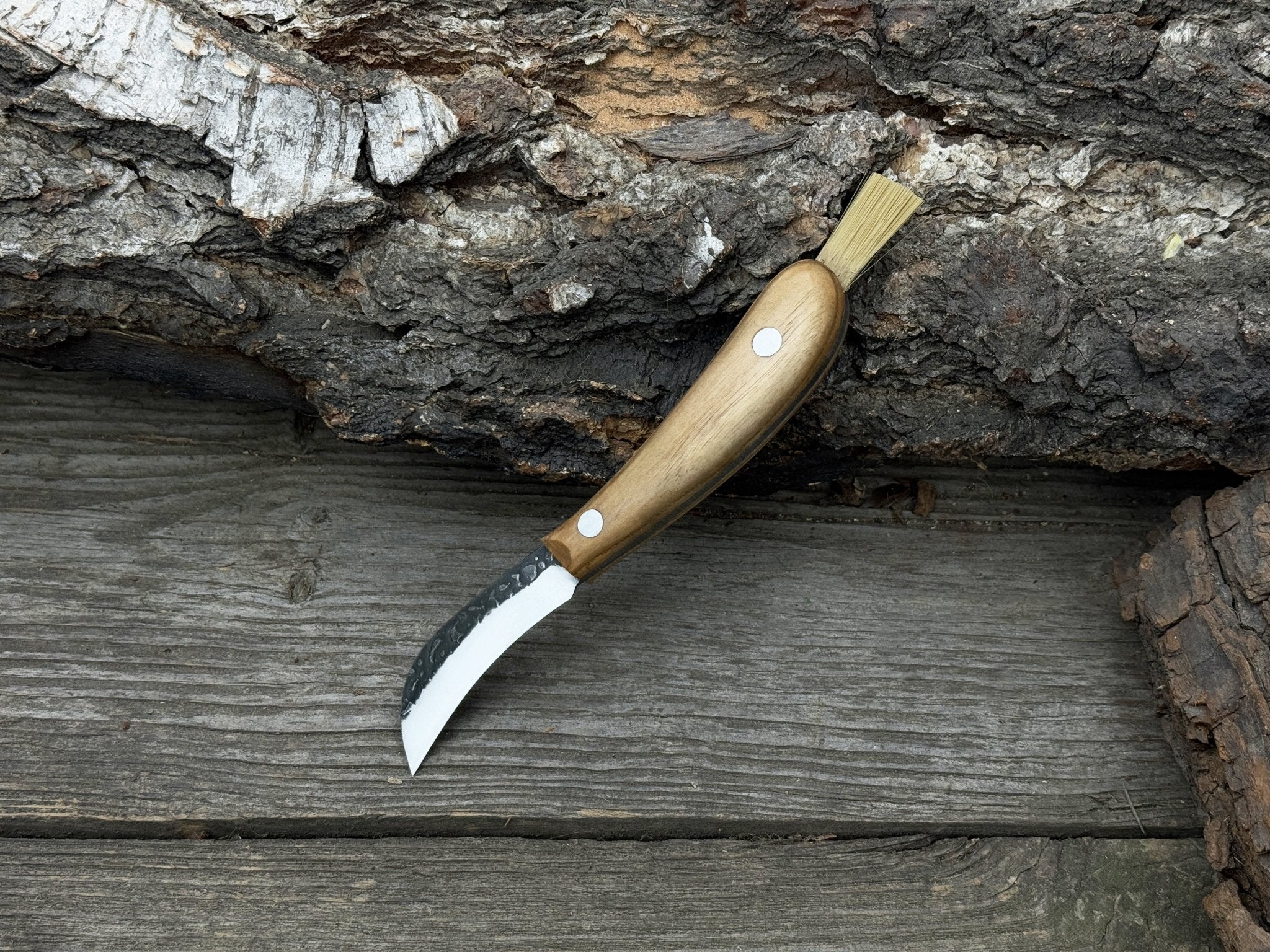 Mushroom Knife for Forest Walks, 6.5 cm (2.56 inches) - 5