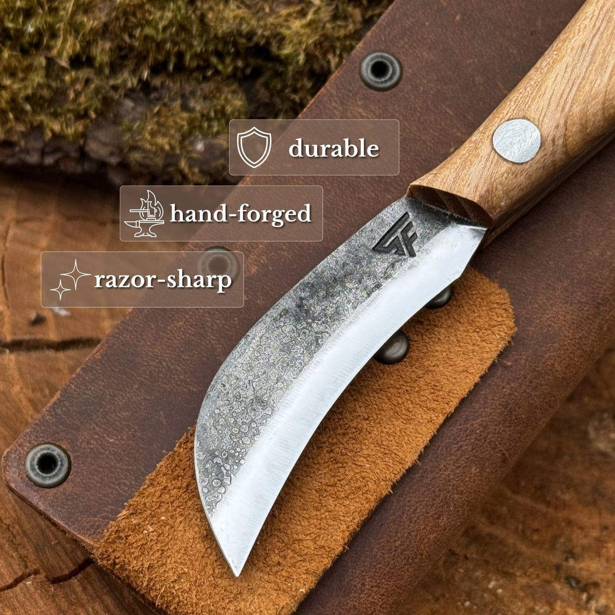 Mushroom Knife for Forest Walks, 6.5 cm (2.56 inches) - 2
