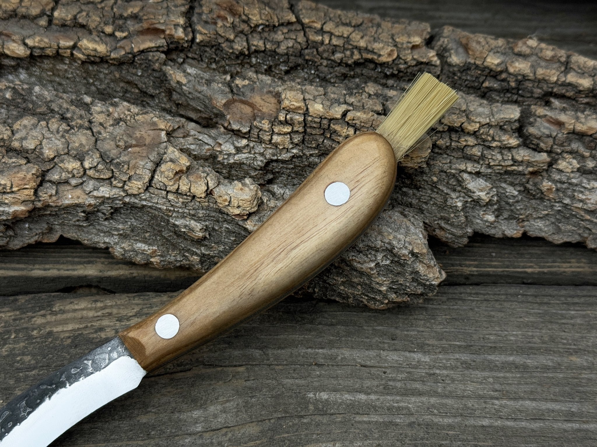 Mushroom Knife for Forest Walks, 6.5 cm (2.56 inches) - 8