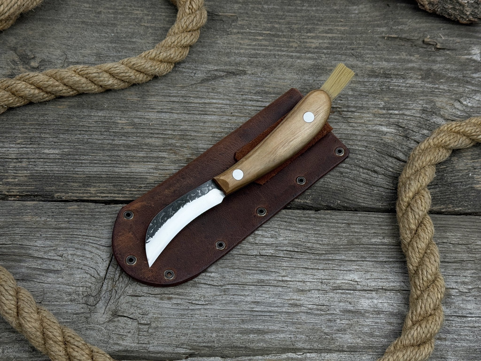 Mushroom Knife for Forest Walks, 6.5 cm (2.56 inches) - 2