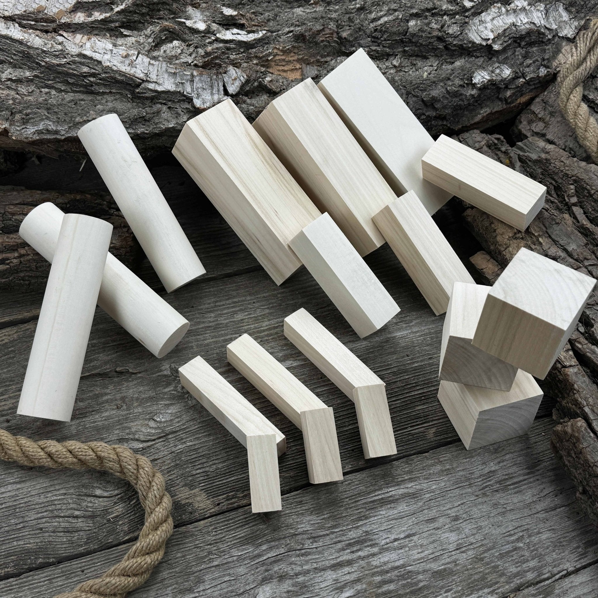 Set of 18 Assorted Linden Wood Carving Blanks - 5