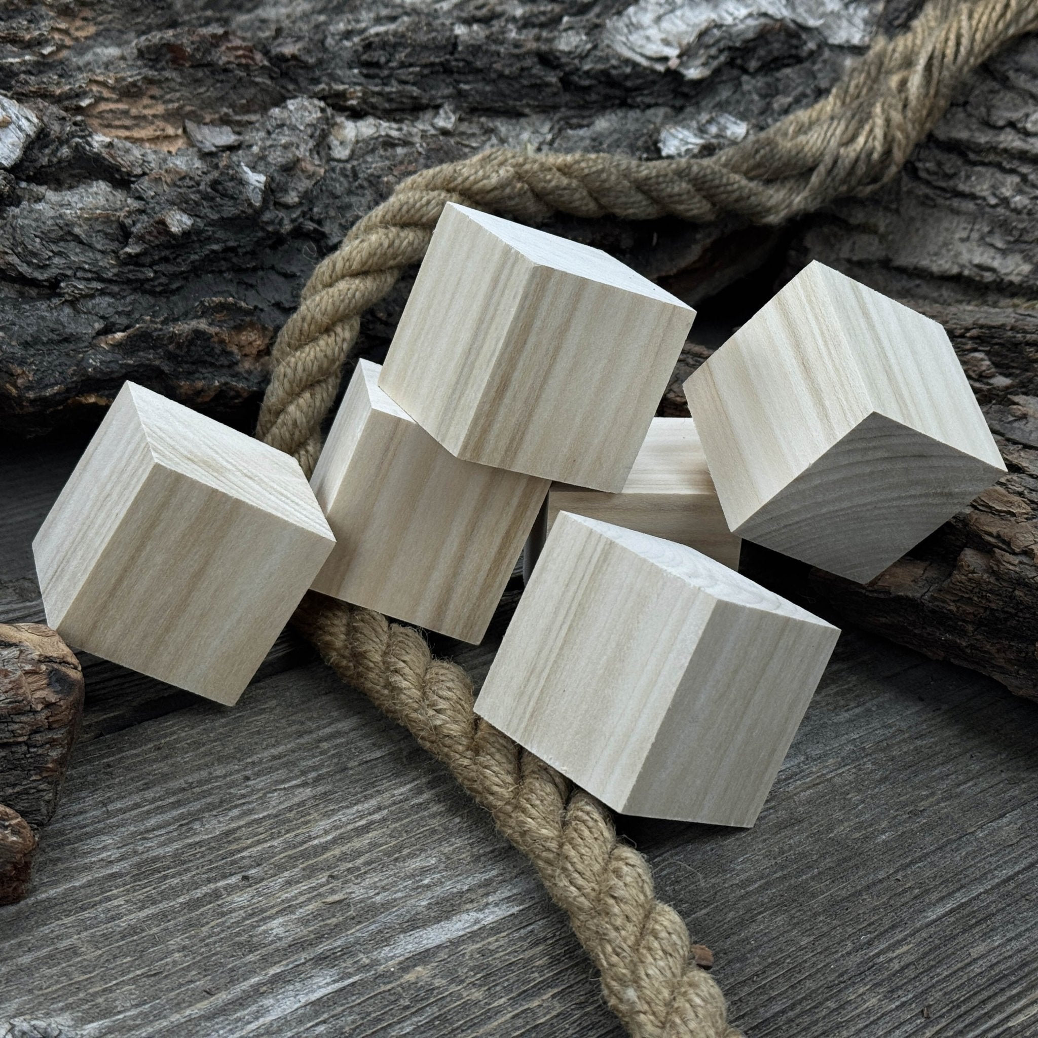 Set of 6 Linden Wood Carving Blanks - 6