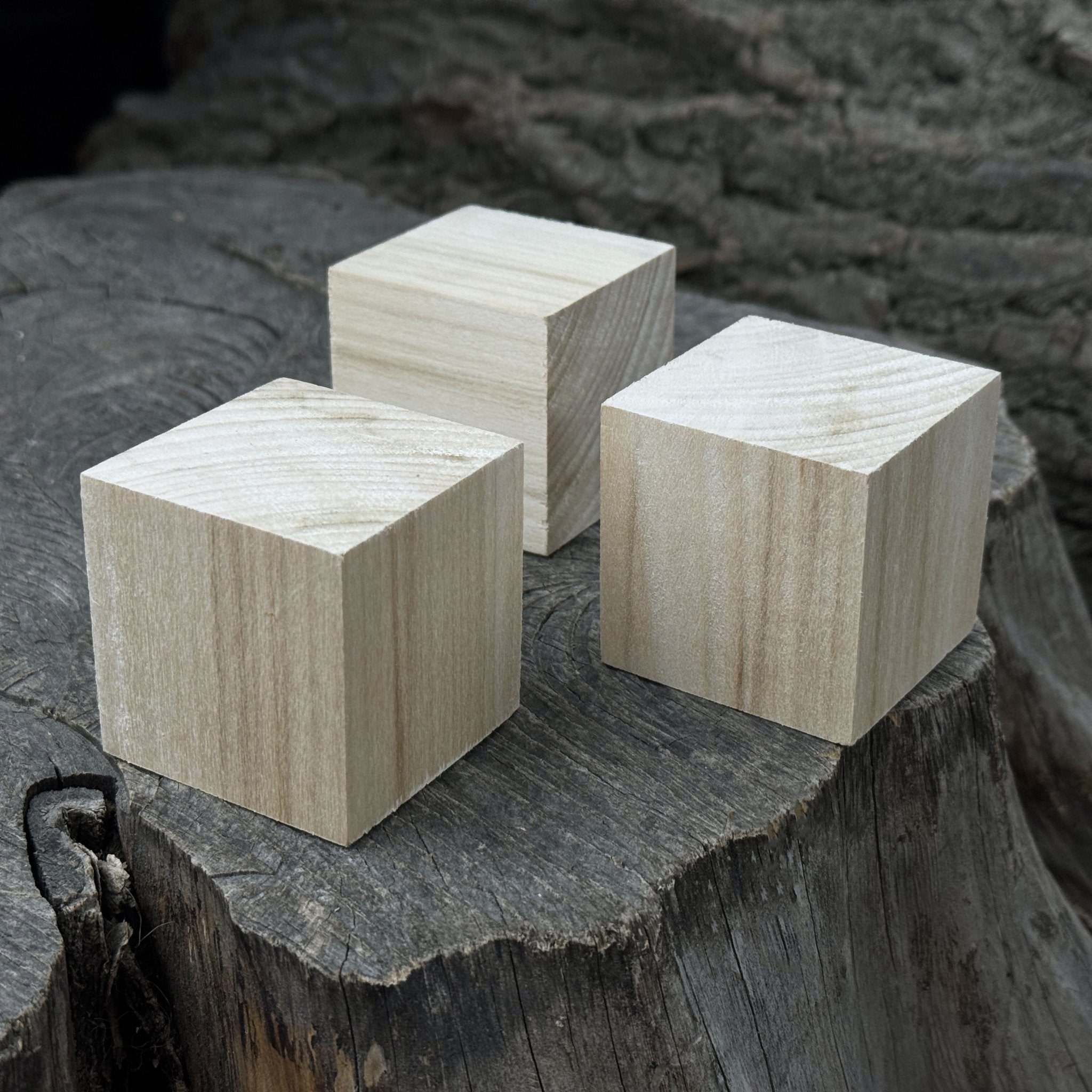 Set of 6 Linden Wood Carving Blanks - 8