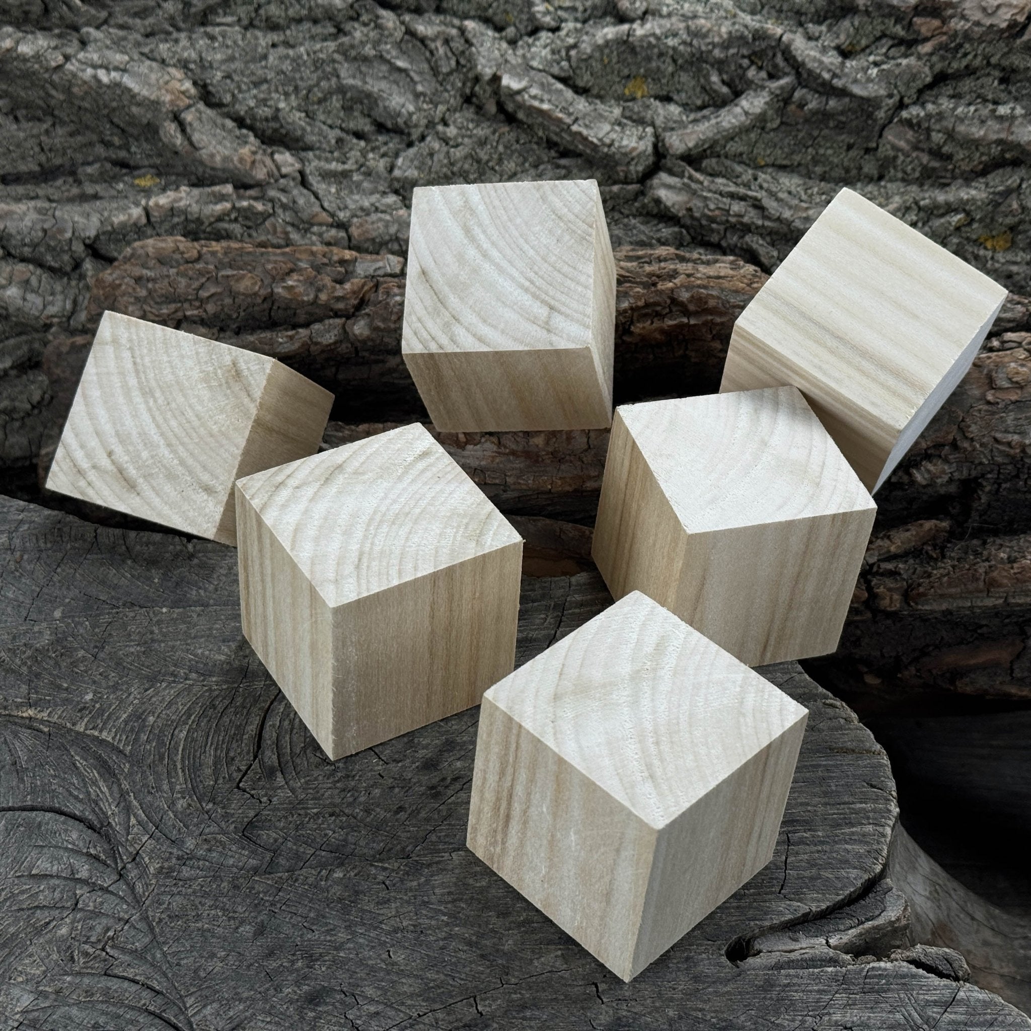 Set of 6 Linden Wood Carving Blanks - 10