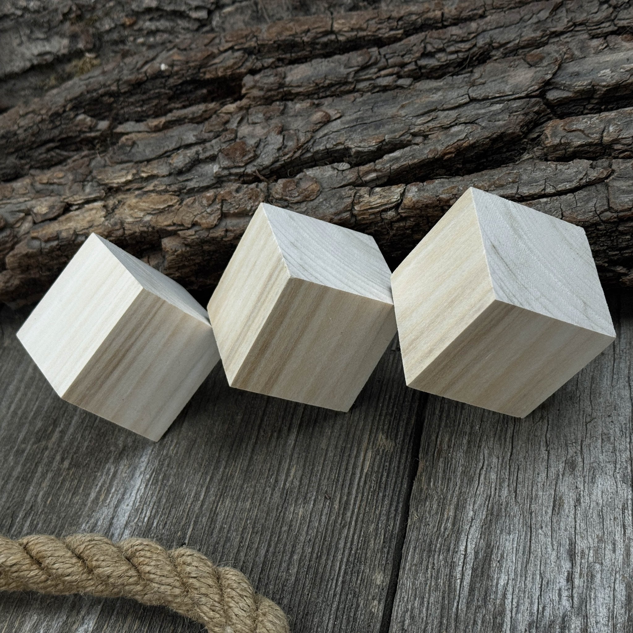 Set of 6 Linden Wood Carving Blanks - 7