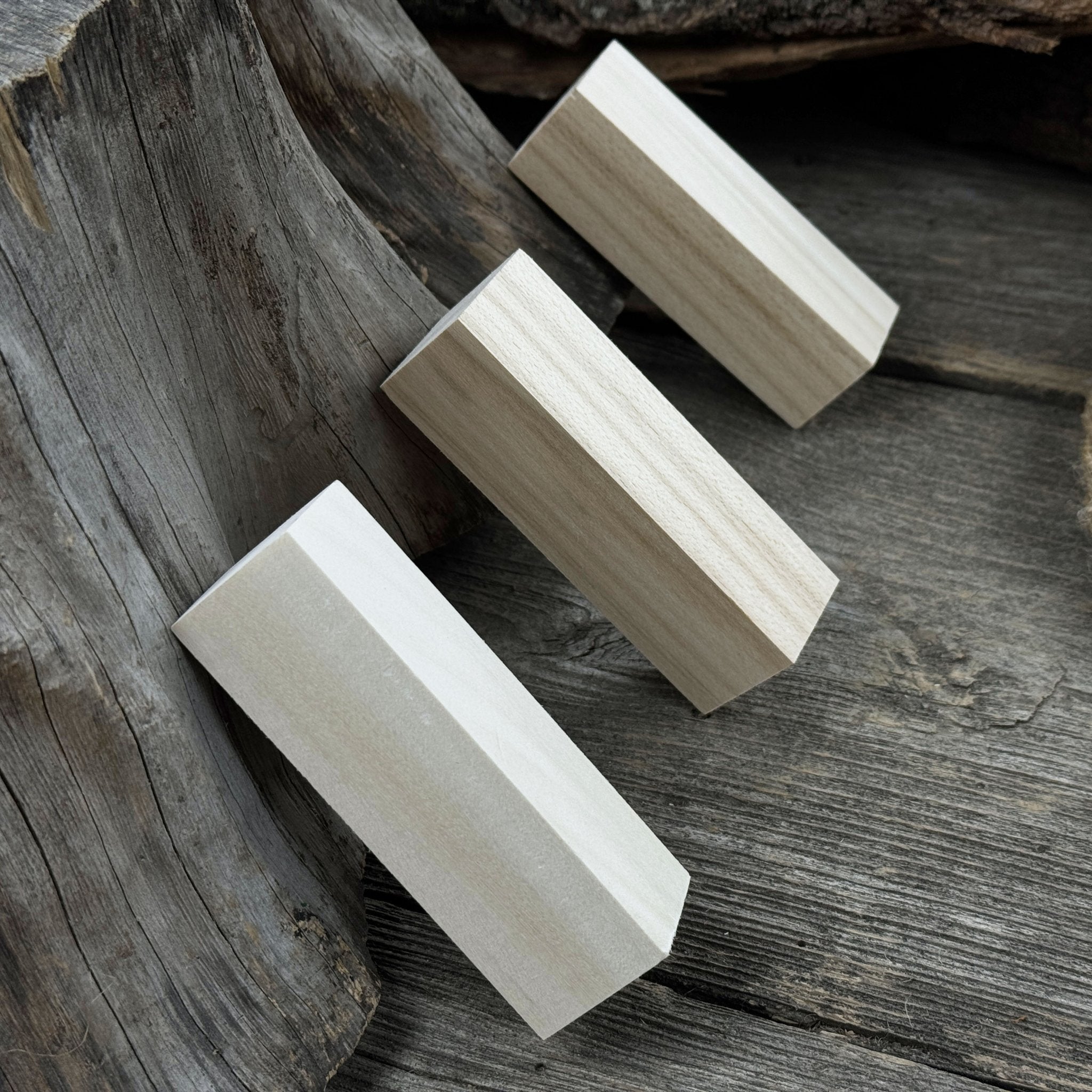 Set of 6 Medium Rectangular Linden Wood Carving Blanks - 4