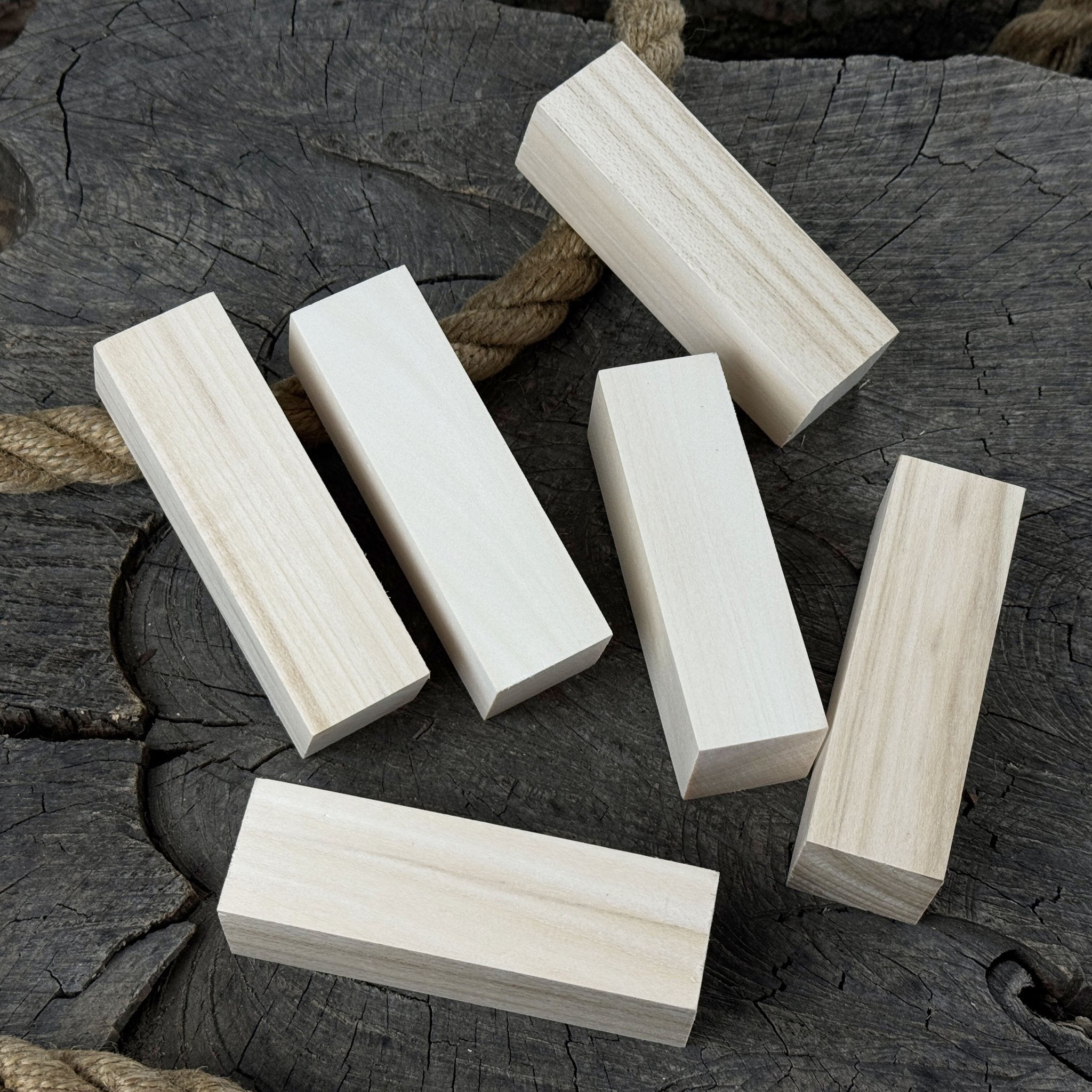 Set of 6 Medium Rectangular Linden Wood Carving Blanks - 6