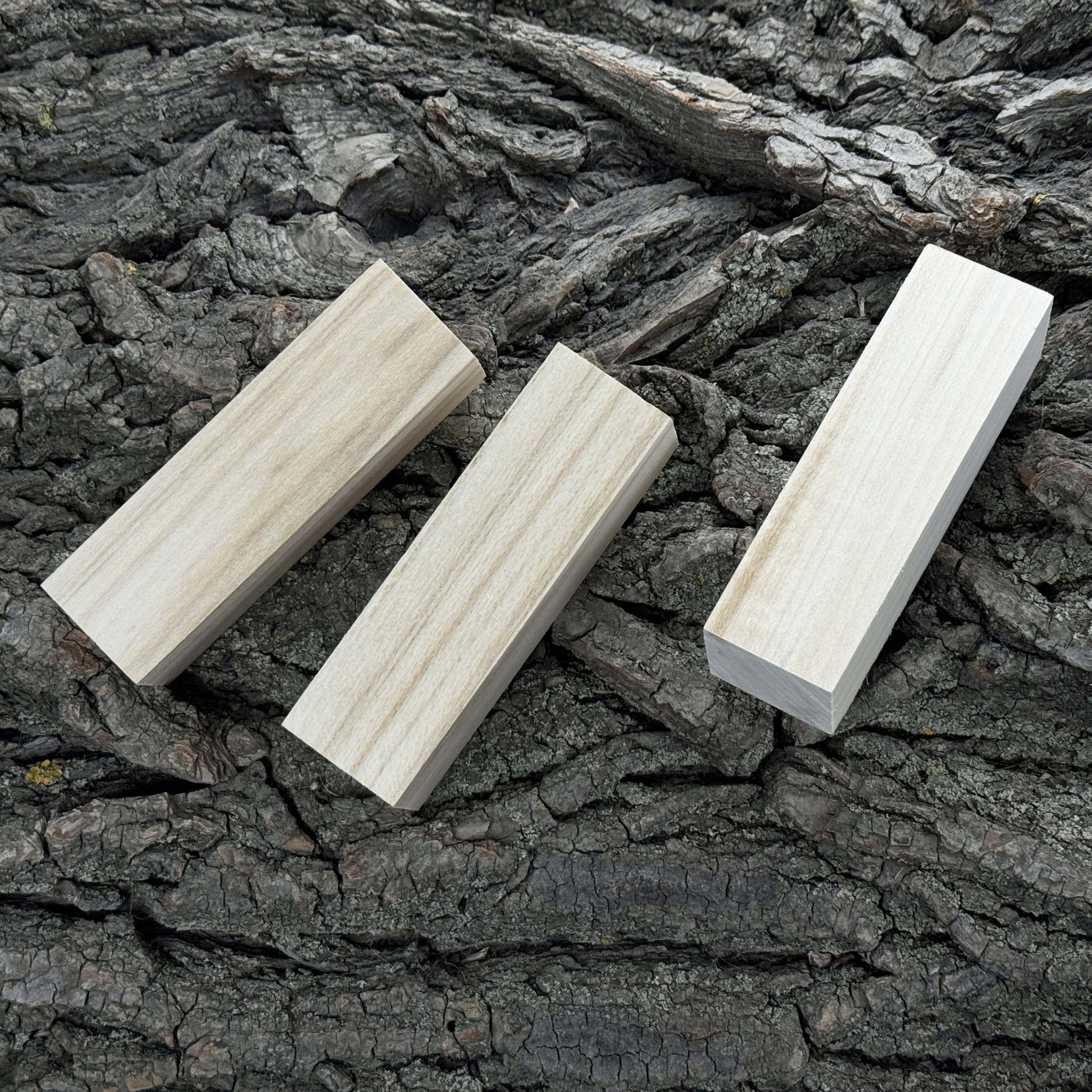 Set of 6 Medium Rectangular Linden Wood Carving Blanks - 7