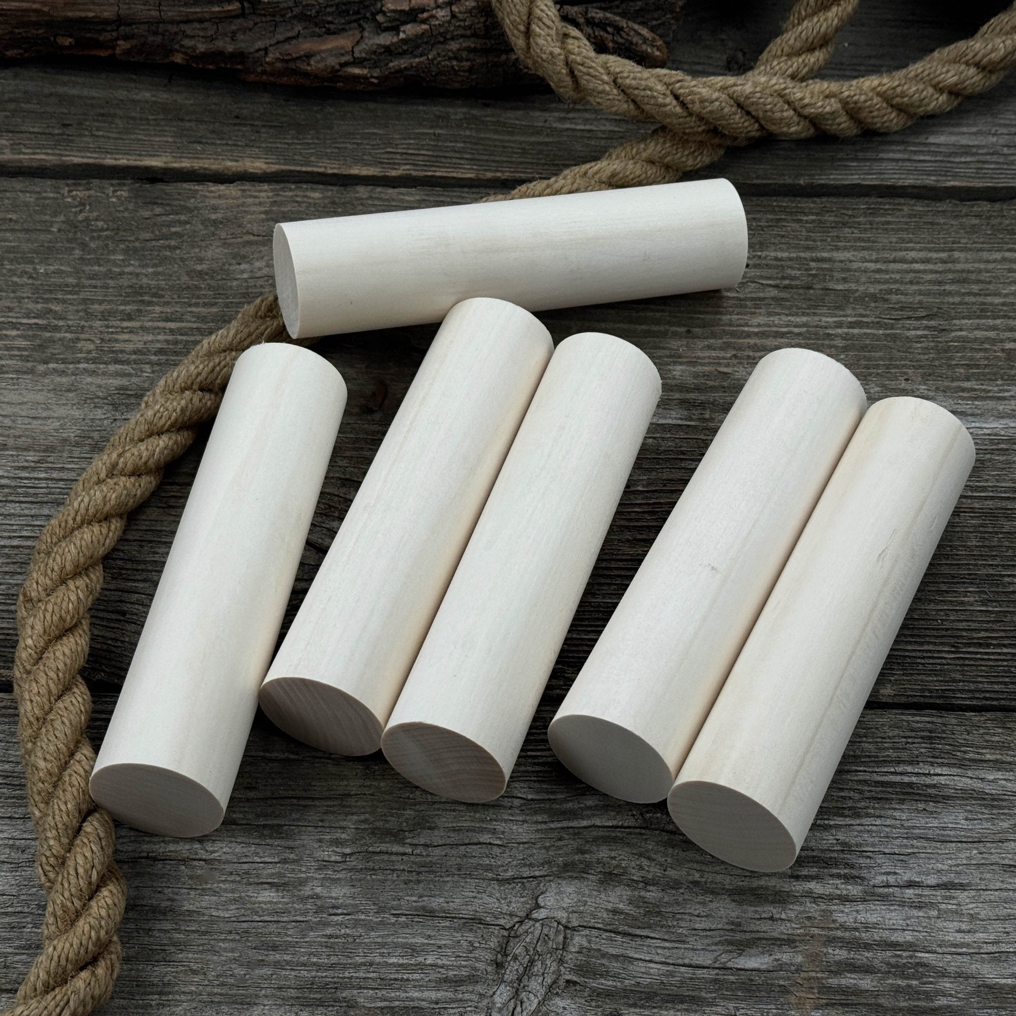 Set of 6 Round Linden Wood Carving Blanks - 2