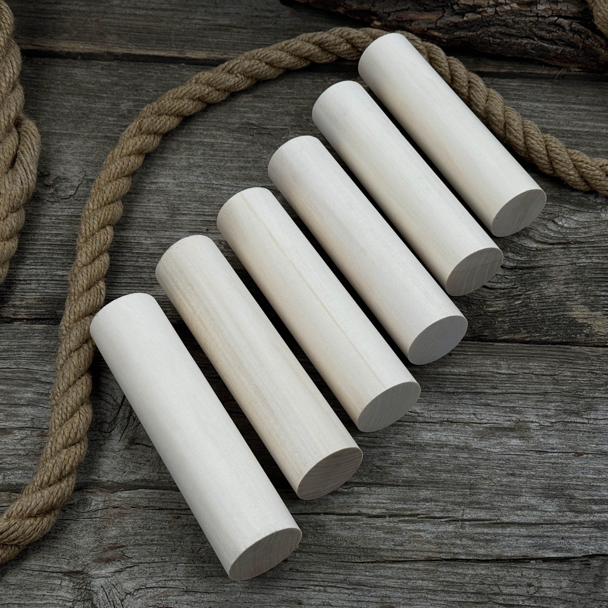 Set of 6 Round Linden Wood Carving Blanks - 1