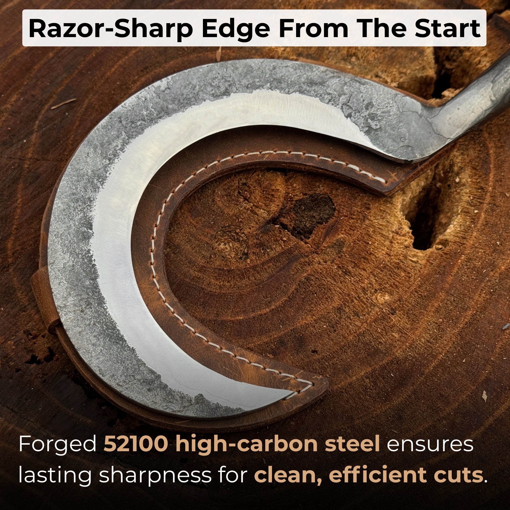 Small Sickle with Forged Handle, 9 cm (3.54 inches) - 2