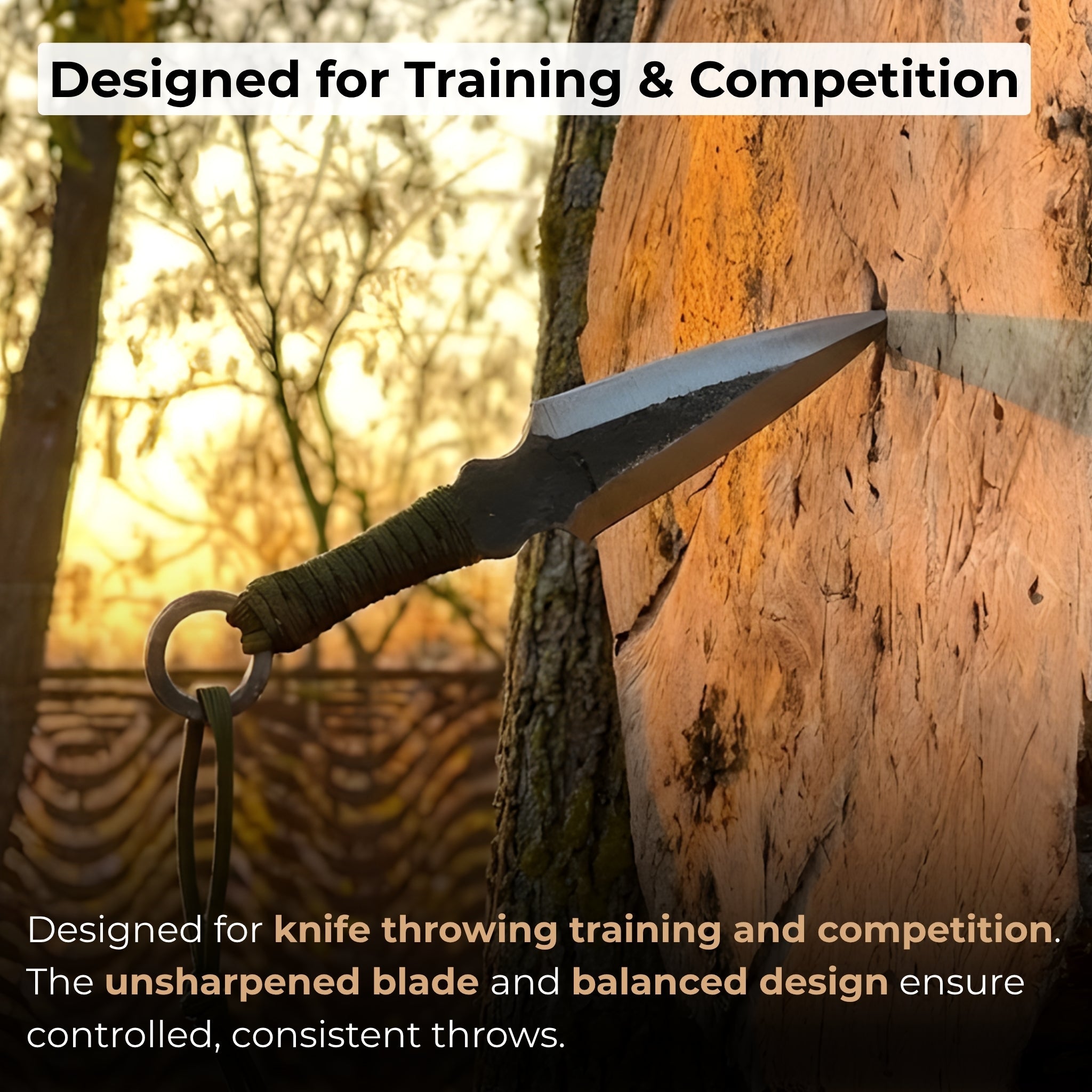 Throwing Knife with Leather Sheath, 16 cm (6.3 inches) - 8