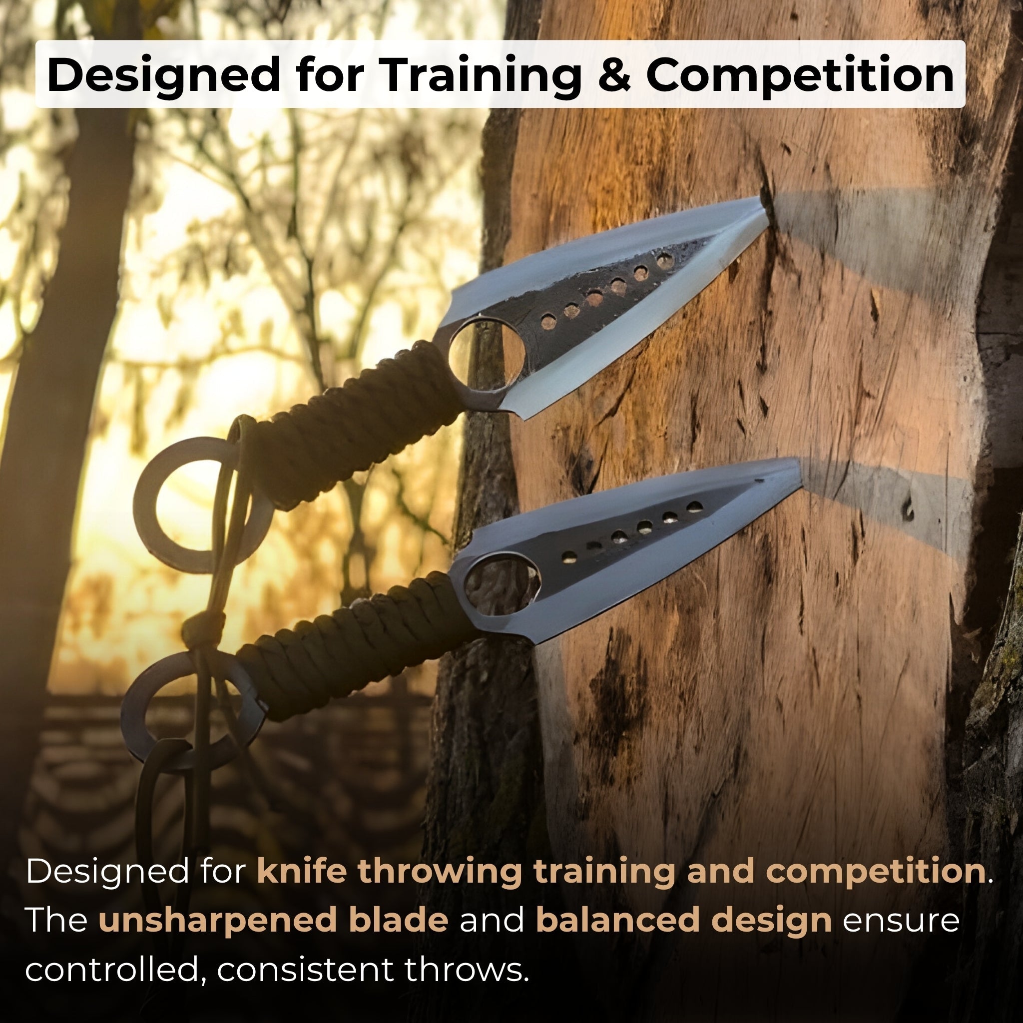 Throwing Knife with Leather Sheath, 19 cm (7.48 inches) - 8