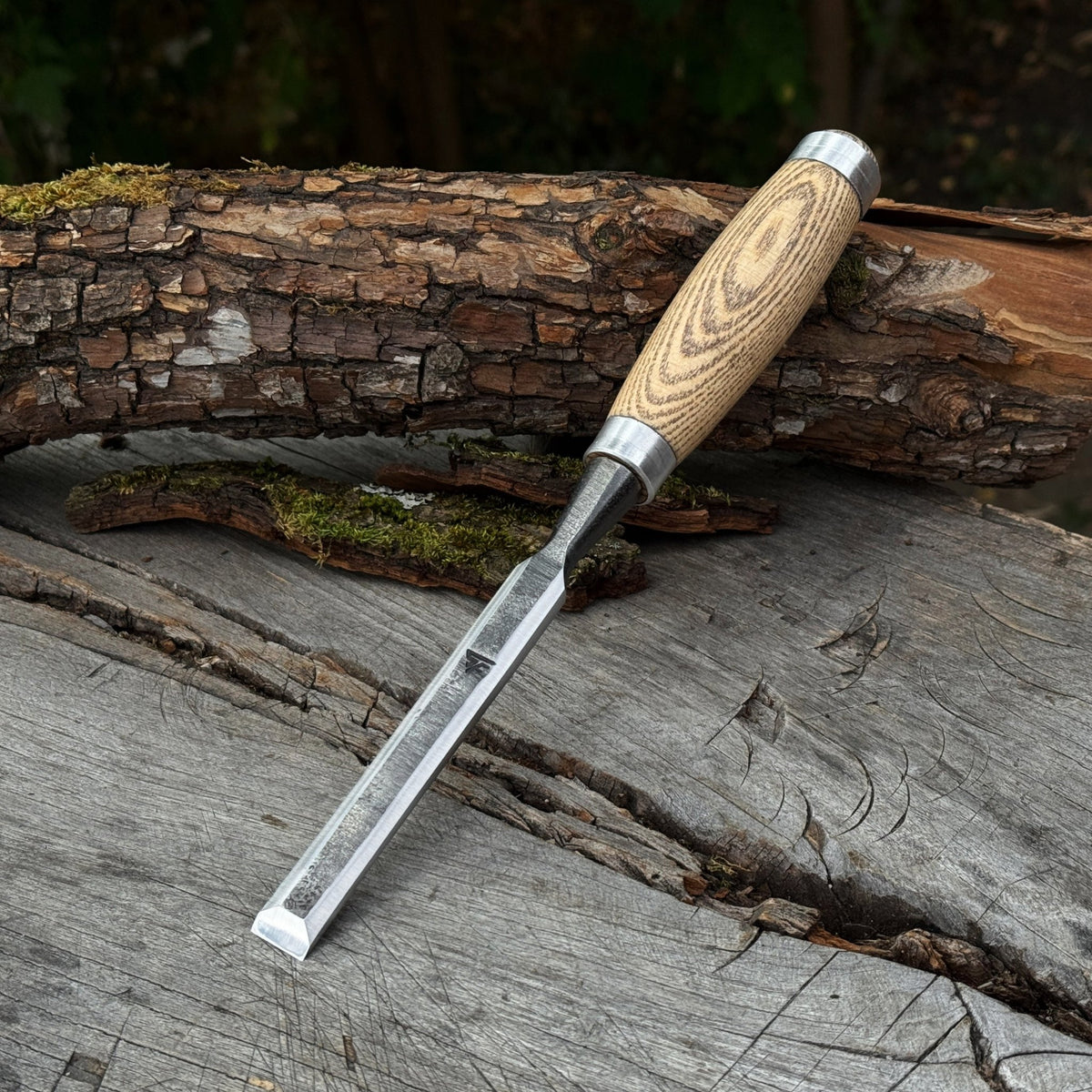 Wood Carving Chisel, 10 - 50 mm (0.39 - 1.97 inches) - 1