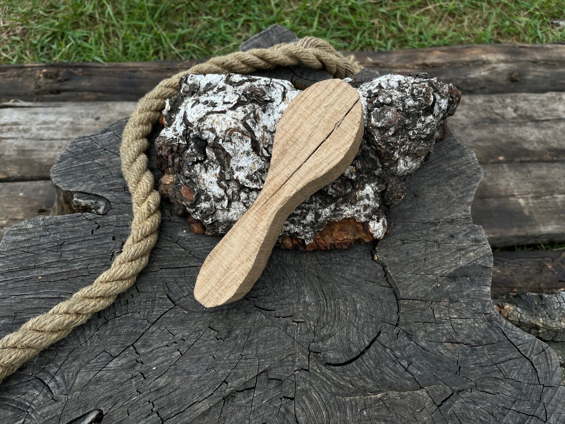 Choosing the Perfect Wood for Carving: A Guide to the Best Types - Sharky Forged Steel Tools