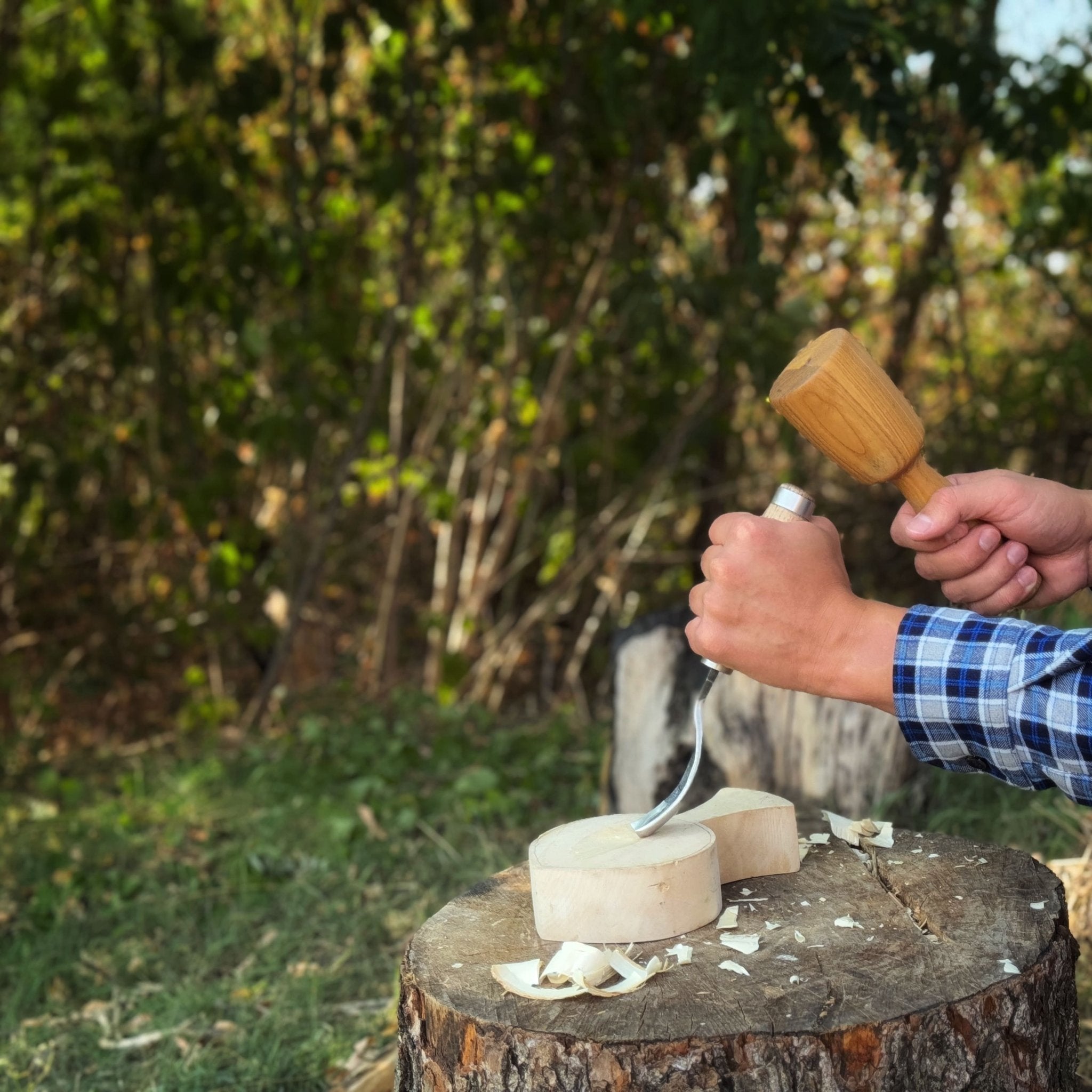 How to Choose and Dry Wood for Green Wood Carving - Sharky Forged Steel Tools