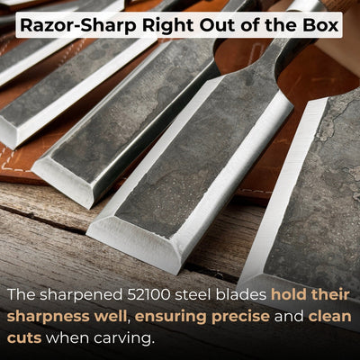 10 - Piece Wood Carving Chisel Set - 2