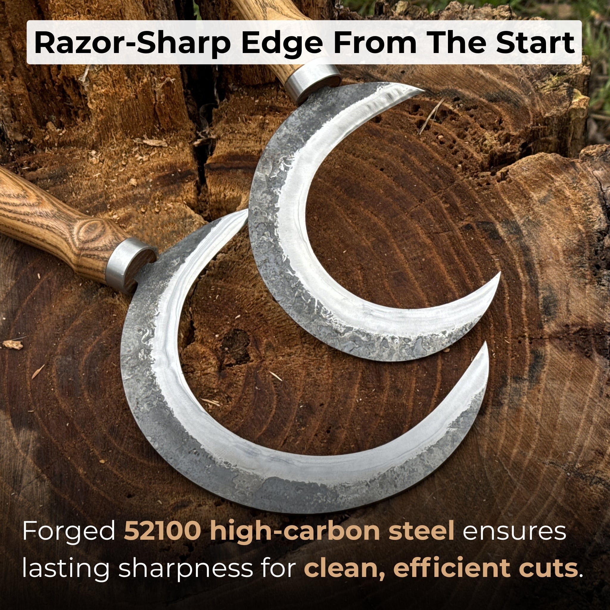 2 - Piece Hand - Forged Sickle Set with Leather Sheaths for Gardening - 2