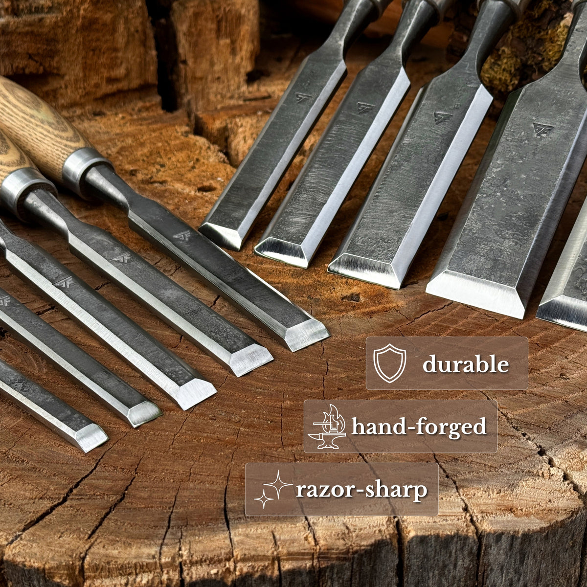 10-teiliges Holzschnitzmeißel-Set