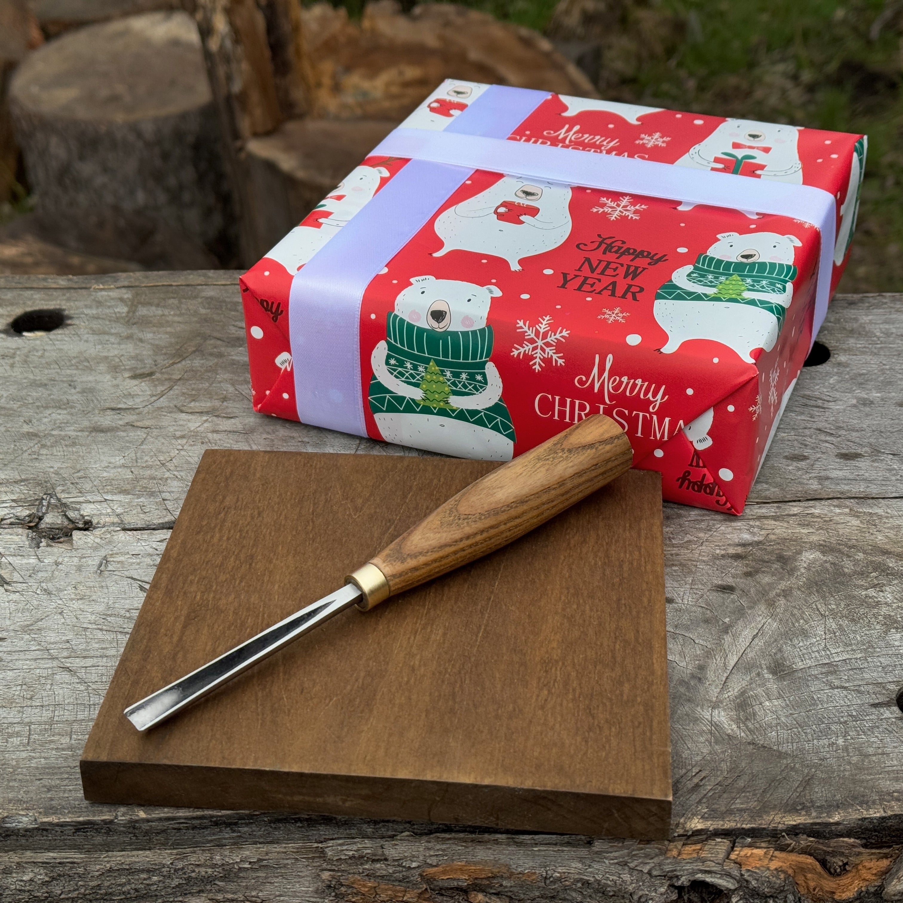 DIY Christmas Picture Cutting Kit – Beginner Wood Carving Wall Art Set