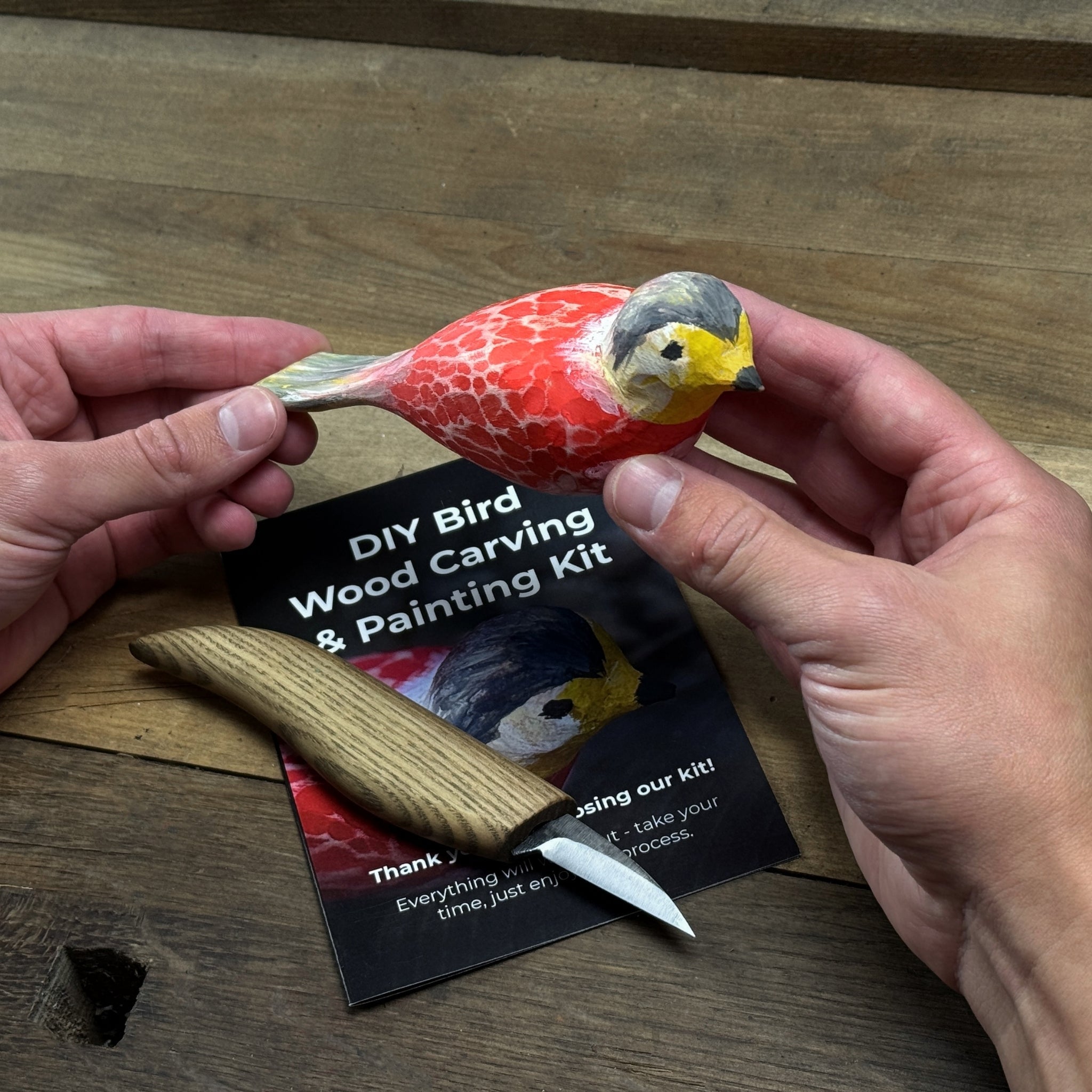 DIY Bird Wood Carving & Painting Kit - 10