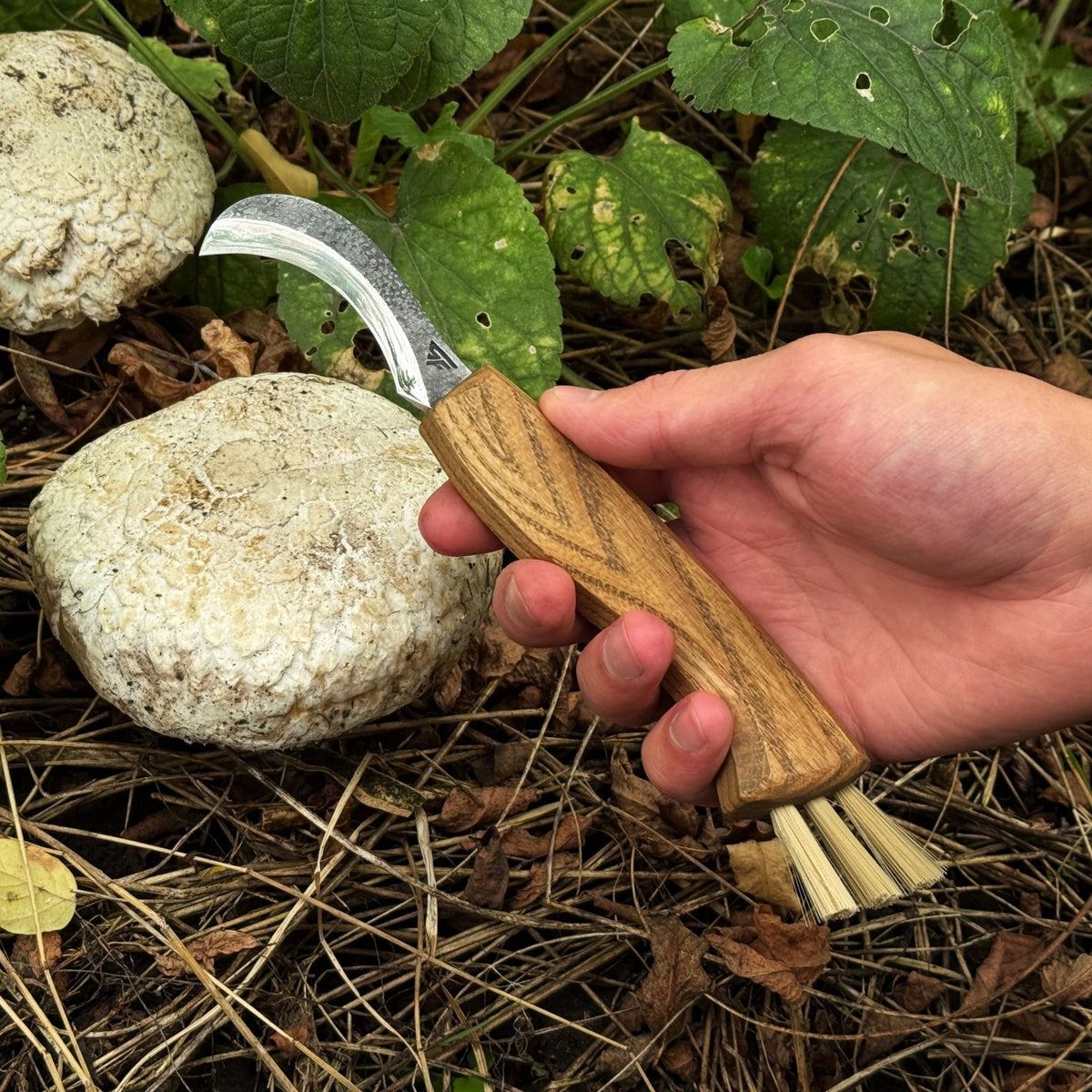 Forged Mushroom Knife with Brush, 6.5 cm (2.56 inches) - 4