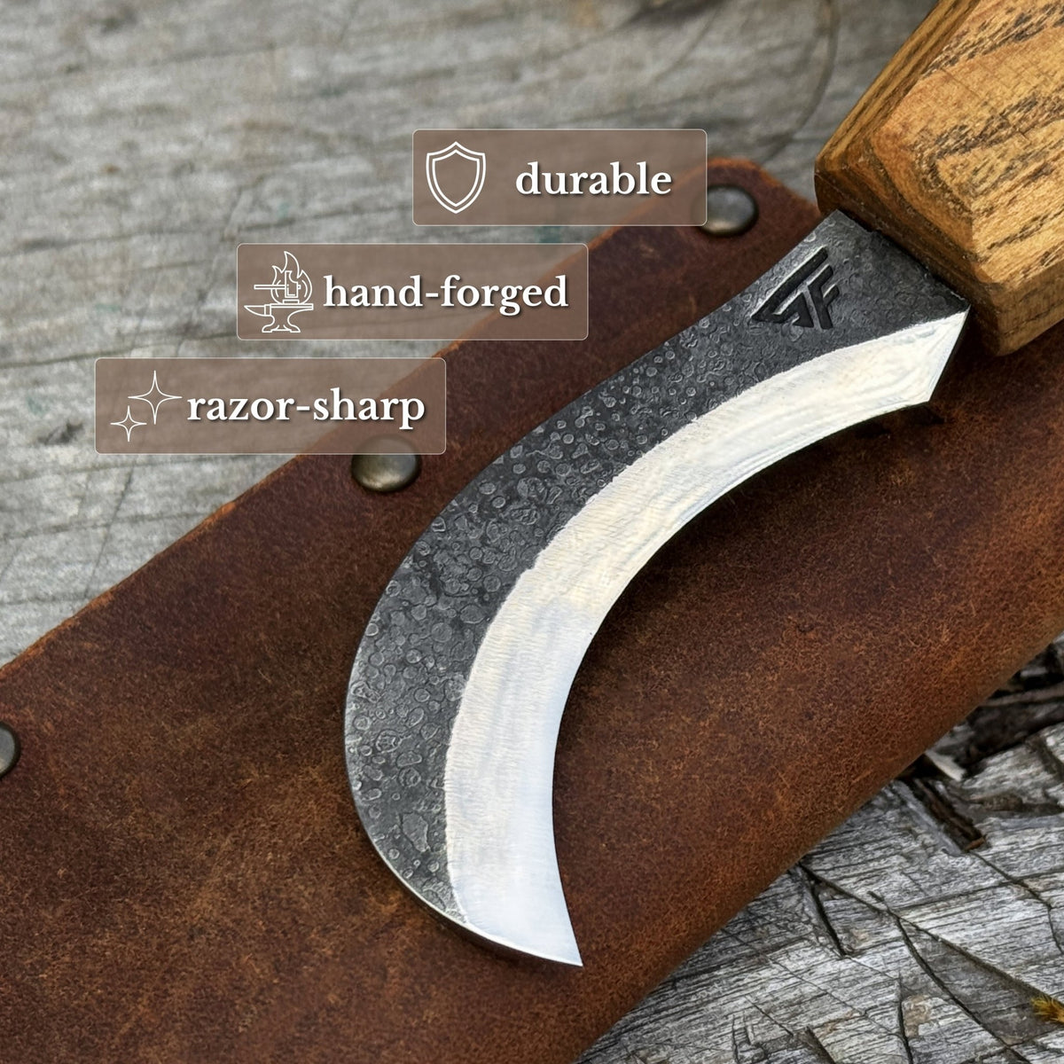 Forged Mushroom Knife with Brush, 6.5 cm (2.56 inches) - 2
