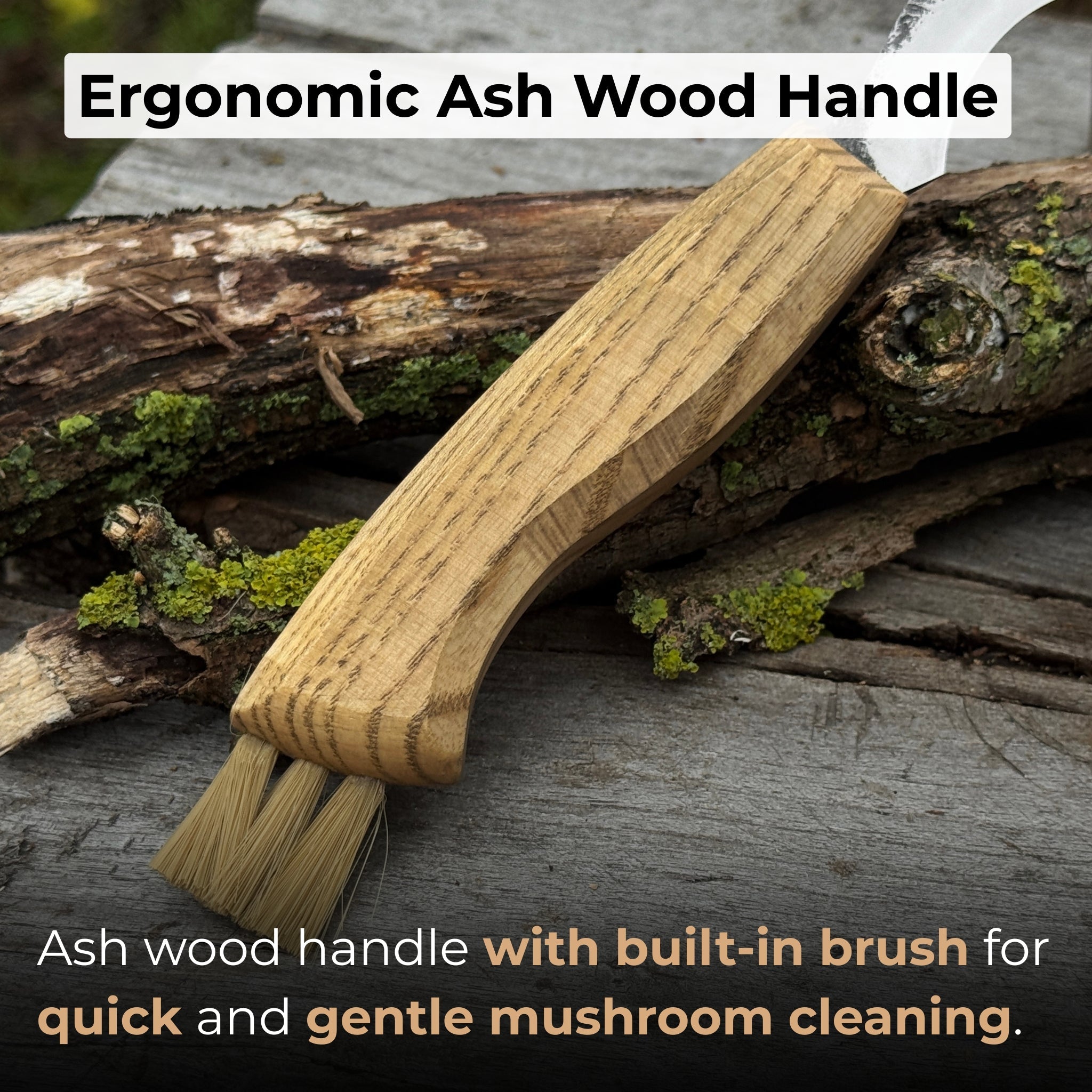 Forged Mushroom Knife with Brush, 6.5 cm (2.56 inches) - 3