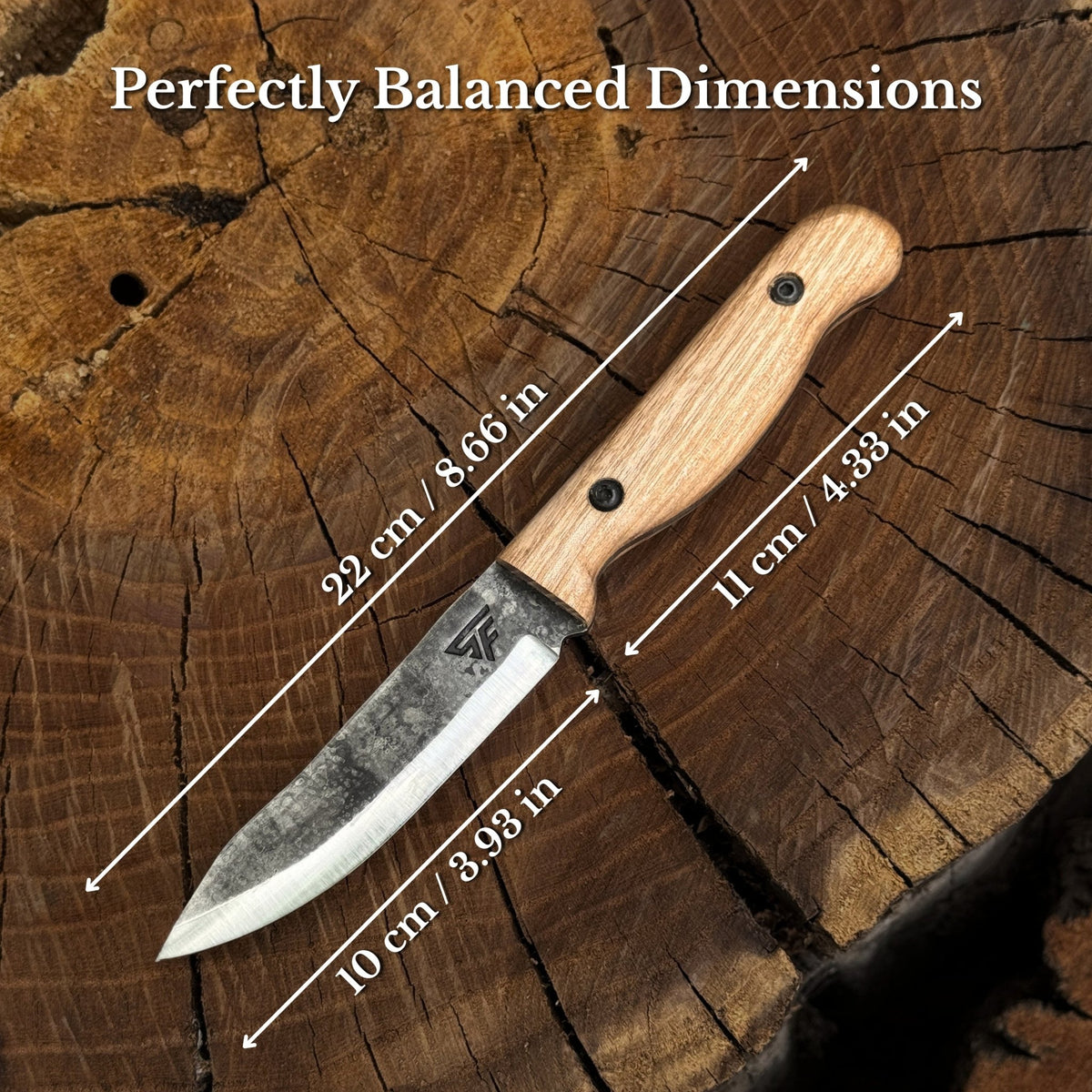 Hand-Forged Bushcraft Knife, 10 cm (3.9 in) Blade with Leather Sheath - 3