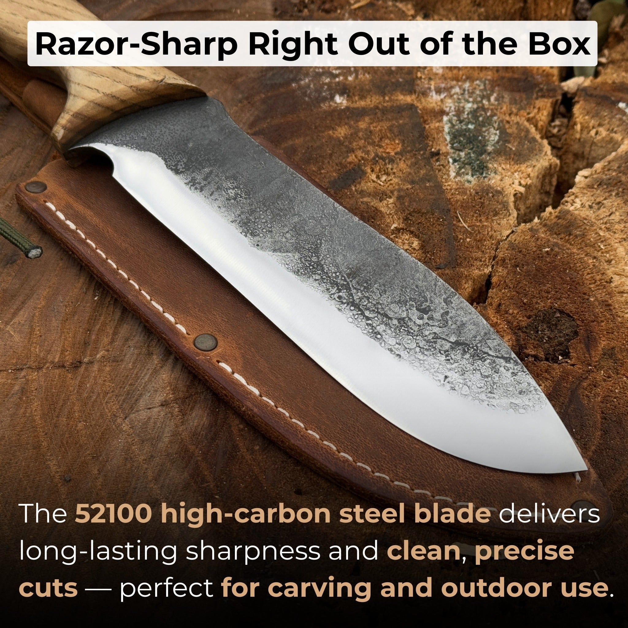 Hand - Forged Bushcraft Knife, 15.5 cm (6.1 inches) - 2