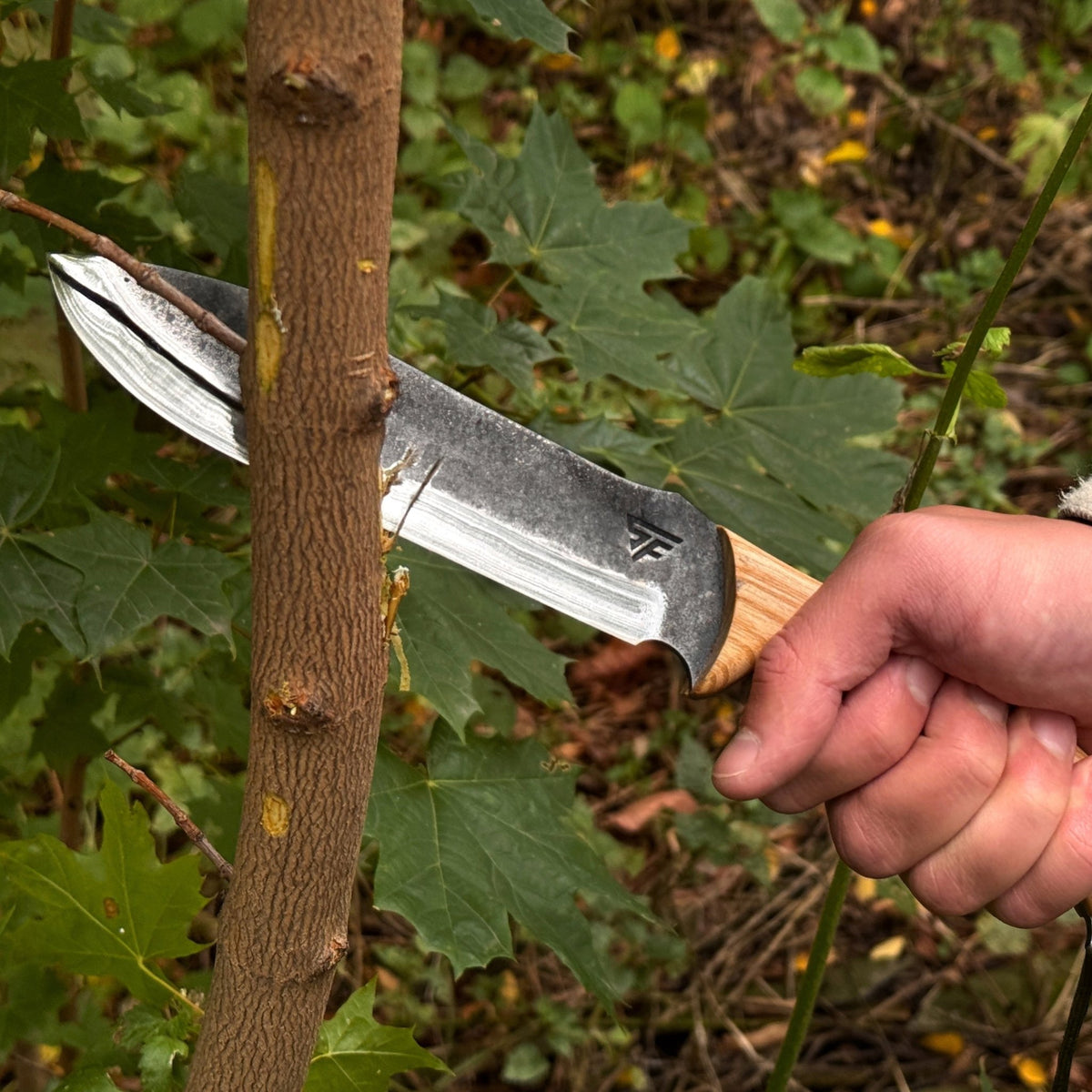 Hand-Forged Bushcraft Knife, 15.5 cm (6.1 inches) - 6